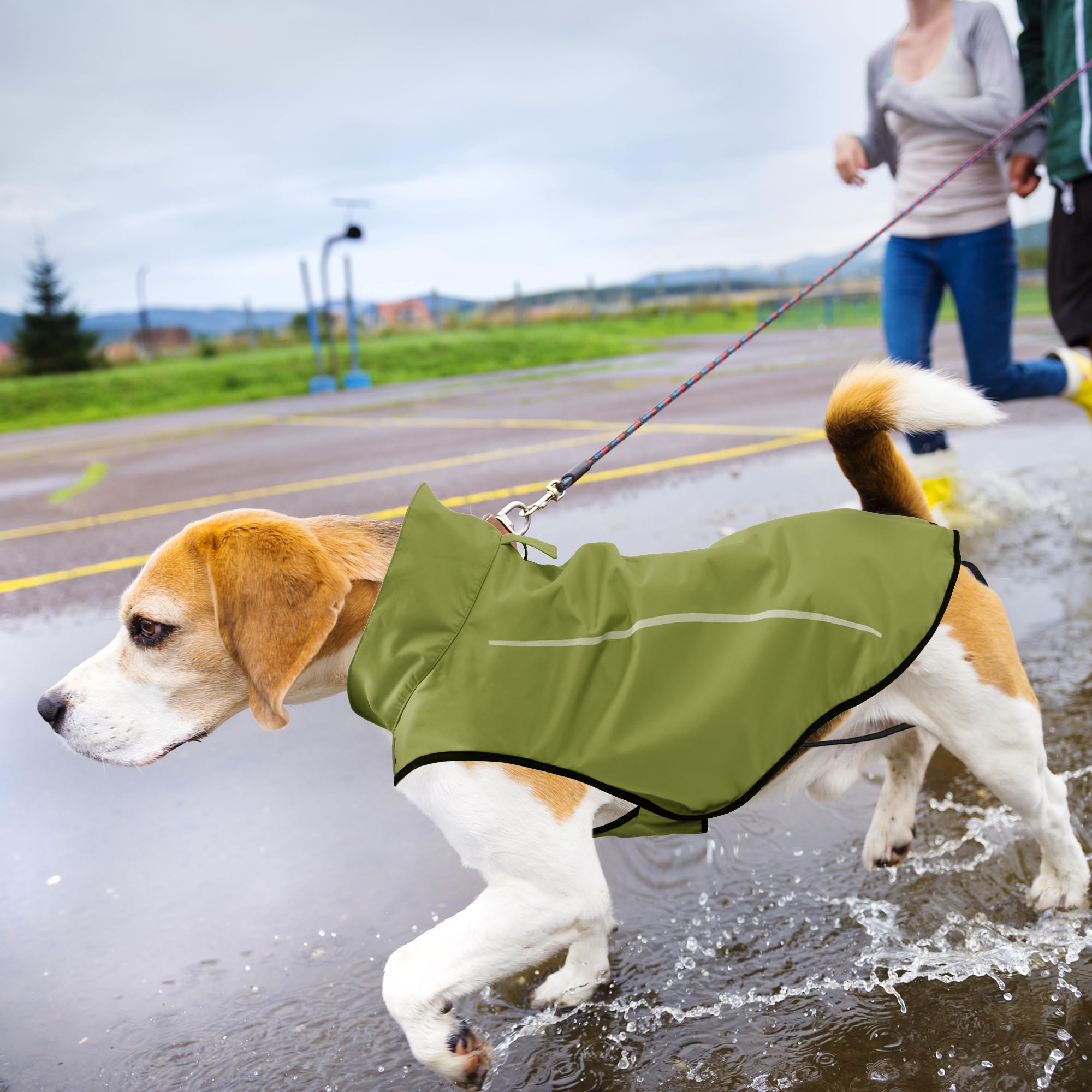 Mile High Life | Dog Raincoat | Adjustable Water Proof Pet Clothes | Lightweight Rain Jacket With Reflective Strip | Easy Step In Closure,New Lime Yellow,Small