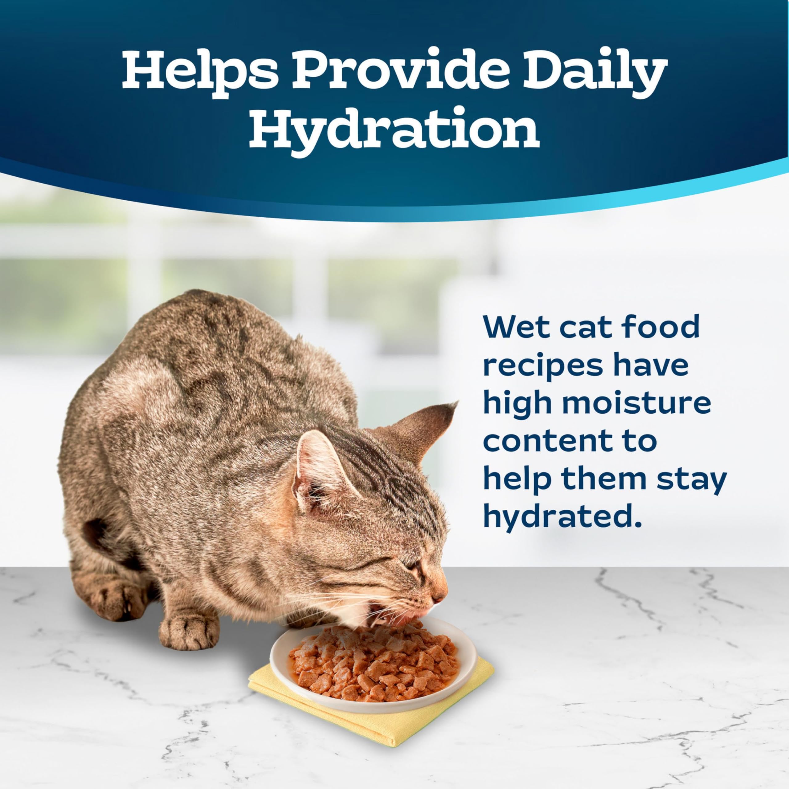 Blue Buffalo Tastefuls Wet Cat Food, Tuna, 3-oz Cans, 24 Count, Natural Ingredients