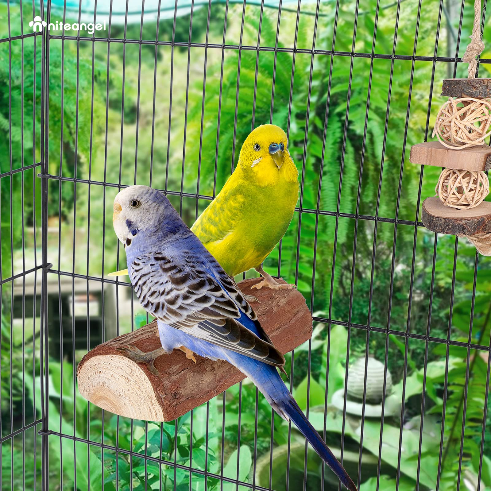 Niteangel Parrot Cage Perch, Wooden Platform For Birds (2 Packs)
