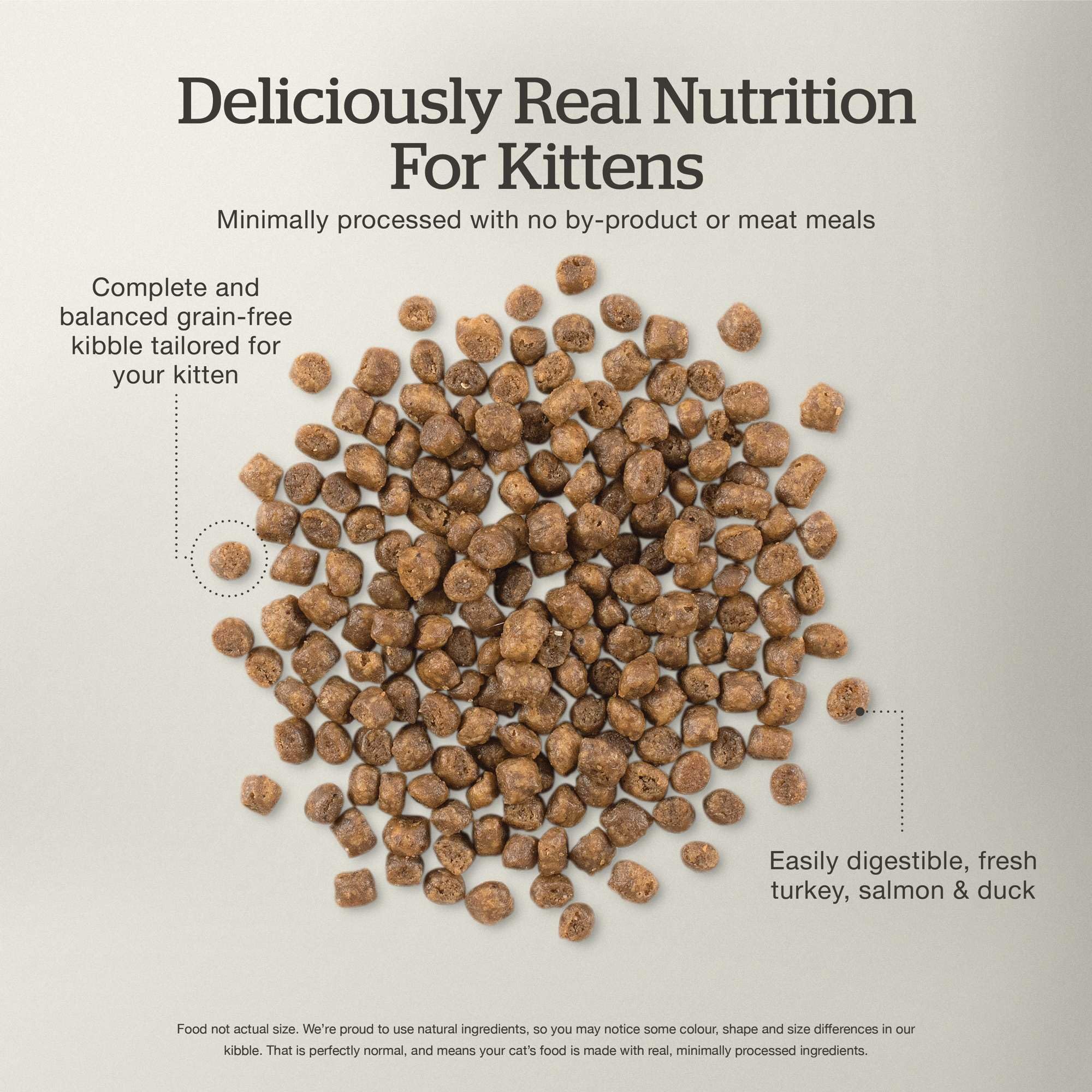 Now Fresh Grain-Free Dry Kitten Food with Turkey, Salmon & Duck, Healthy Kibble for Growing Cats with Real Poultry & Fish, Chick