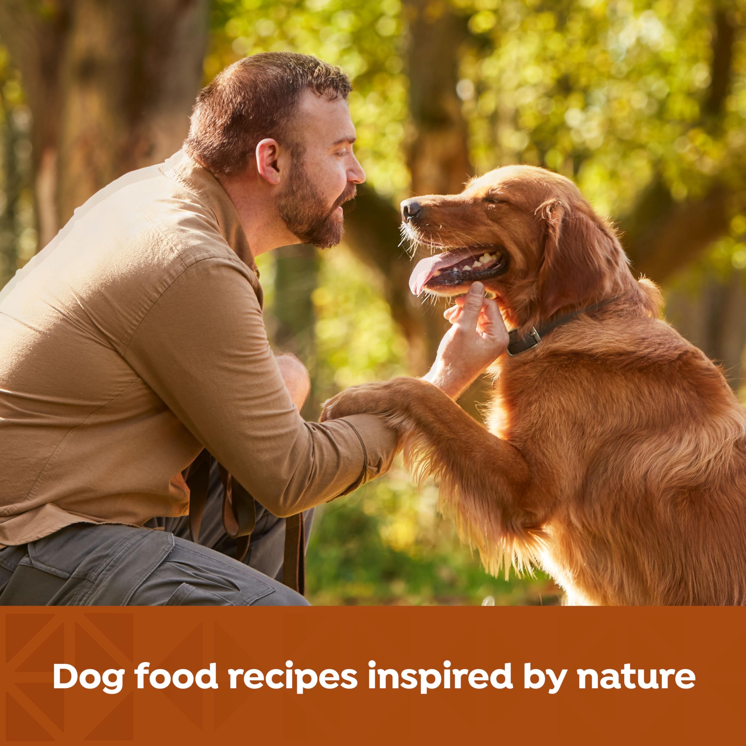 Nature's Recipe Grain Free Wet Dog Food Paté Variety Pack, Chicken & Beef with Sweet Potato & Pumpkin, 13oz Cans (Pack of 12)