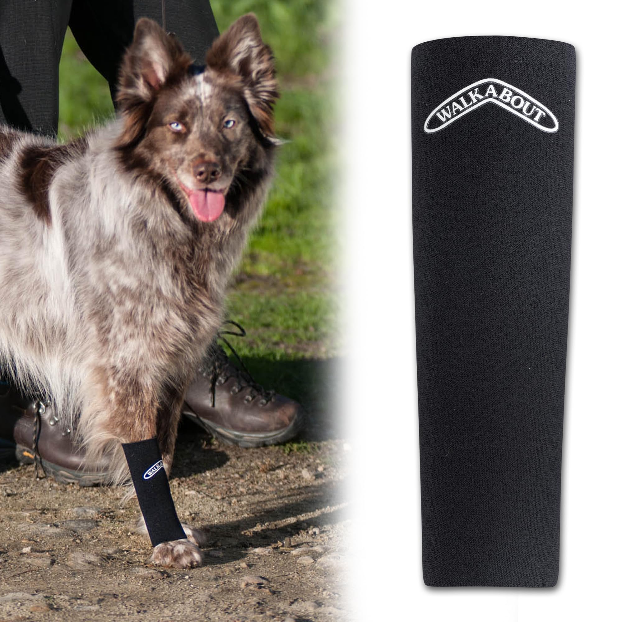 WALKABOUT Canine Compression Sleeve (Black, Medium