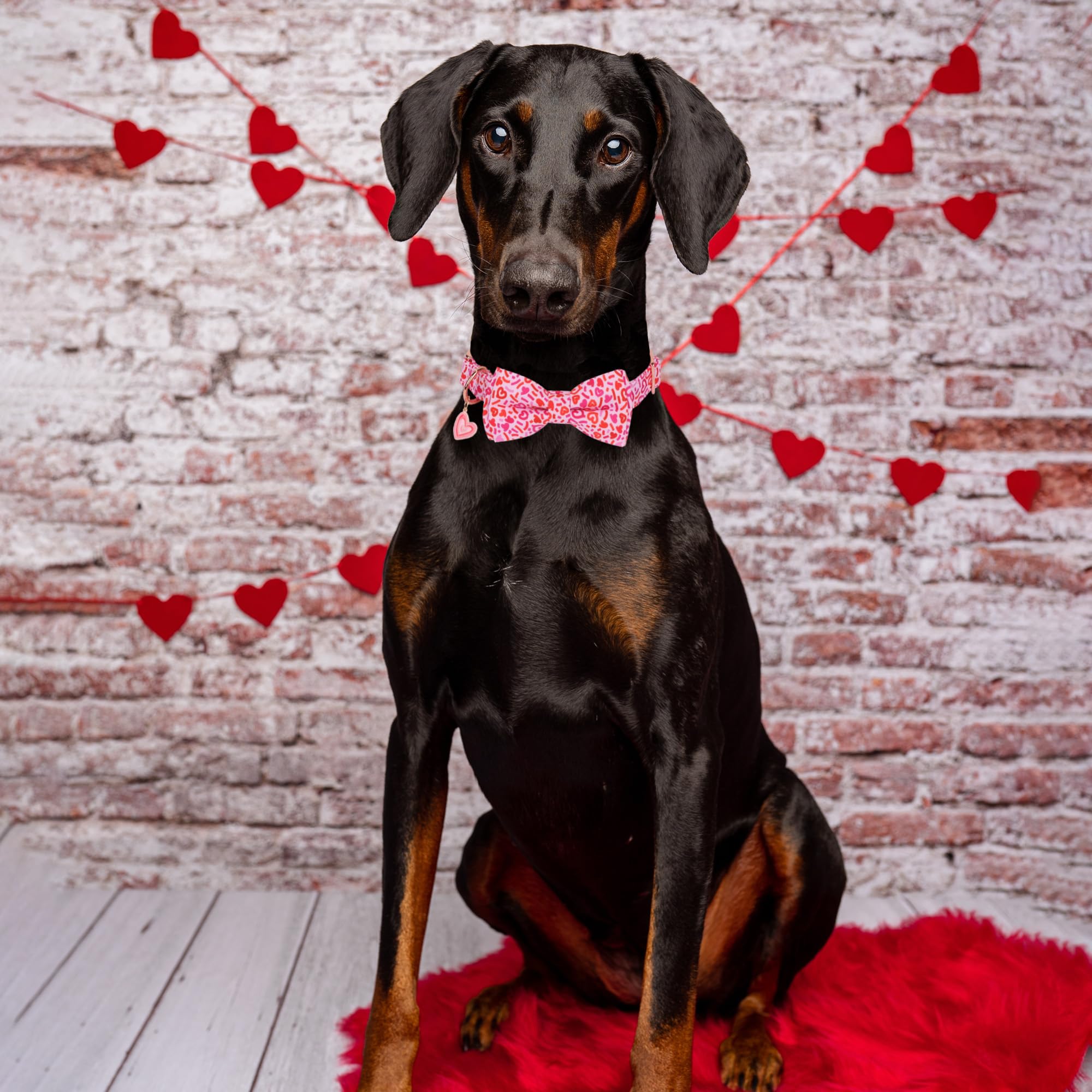 Adoggygo Valentine Dog Collar With Bow, Metal Buckle, Adjustable Pink Heart Bowtie Pet Valentine Collars For Medium Large Dogs (