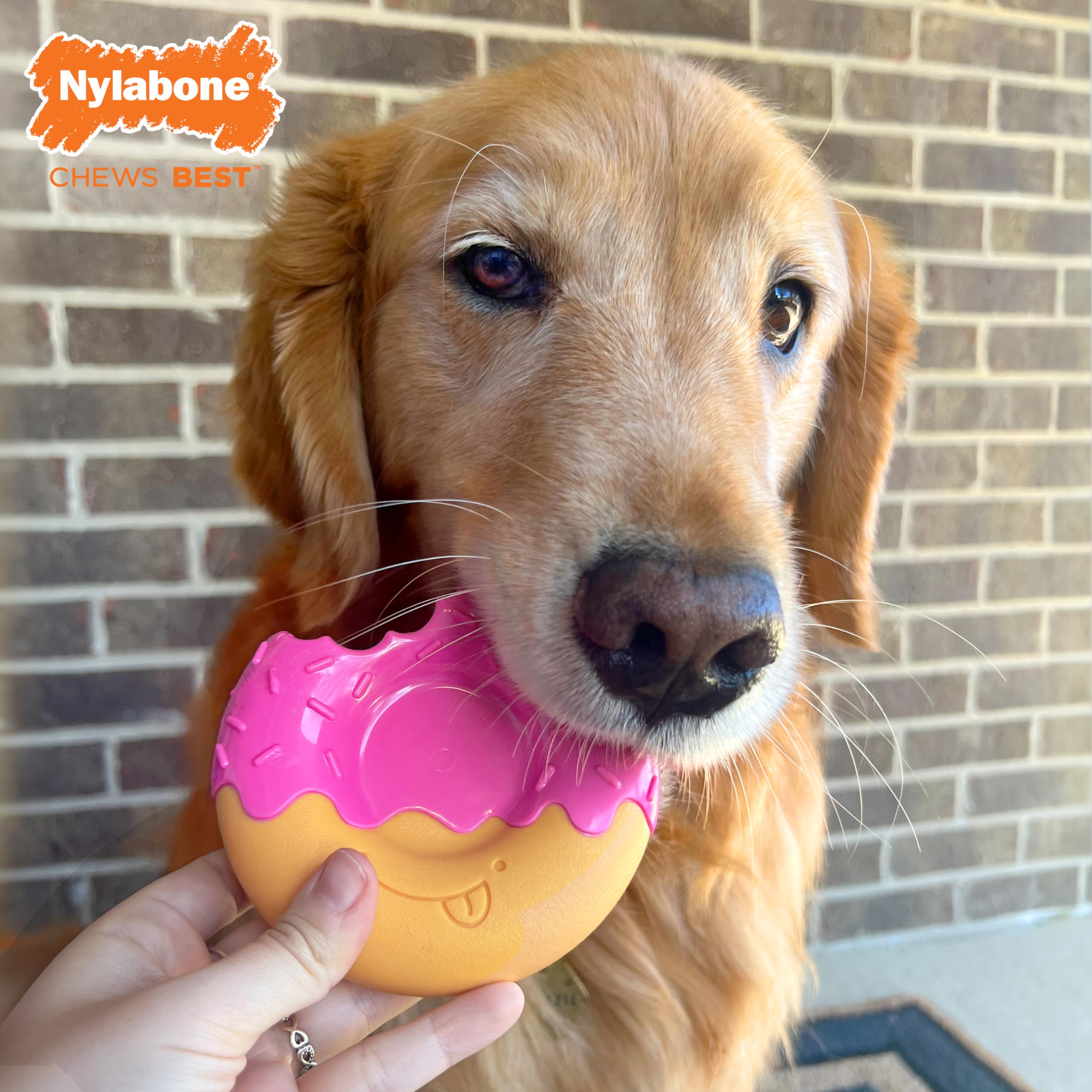 Nylabone Donut Power Chew Toy For Dogs, Dog Toys For Aggressive Chewers, Bacon Glazed Flavor, Large - Up To 50 Lbs, 1 Count