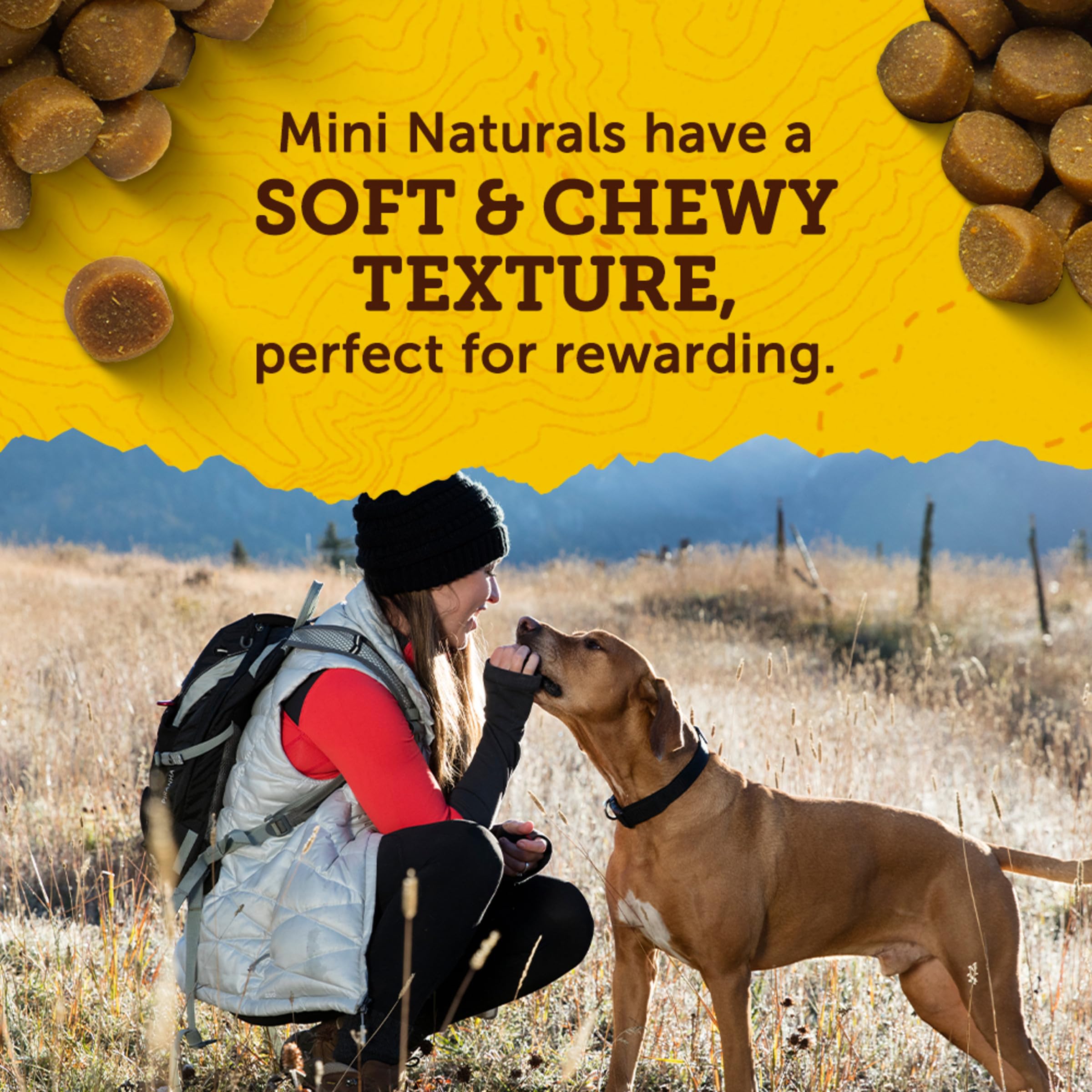 Zuke s Mini Naturals Training Dog Treats Peanut Butter and Oats Recipe - 16 Oz Bag
