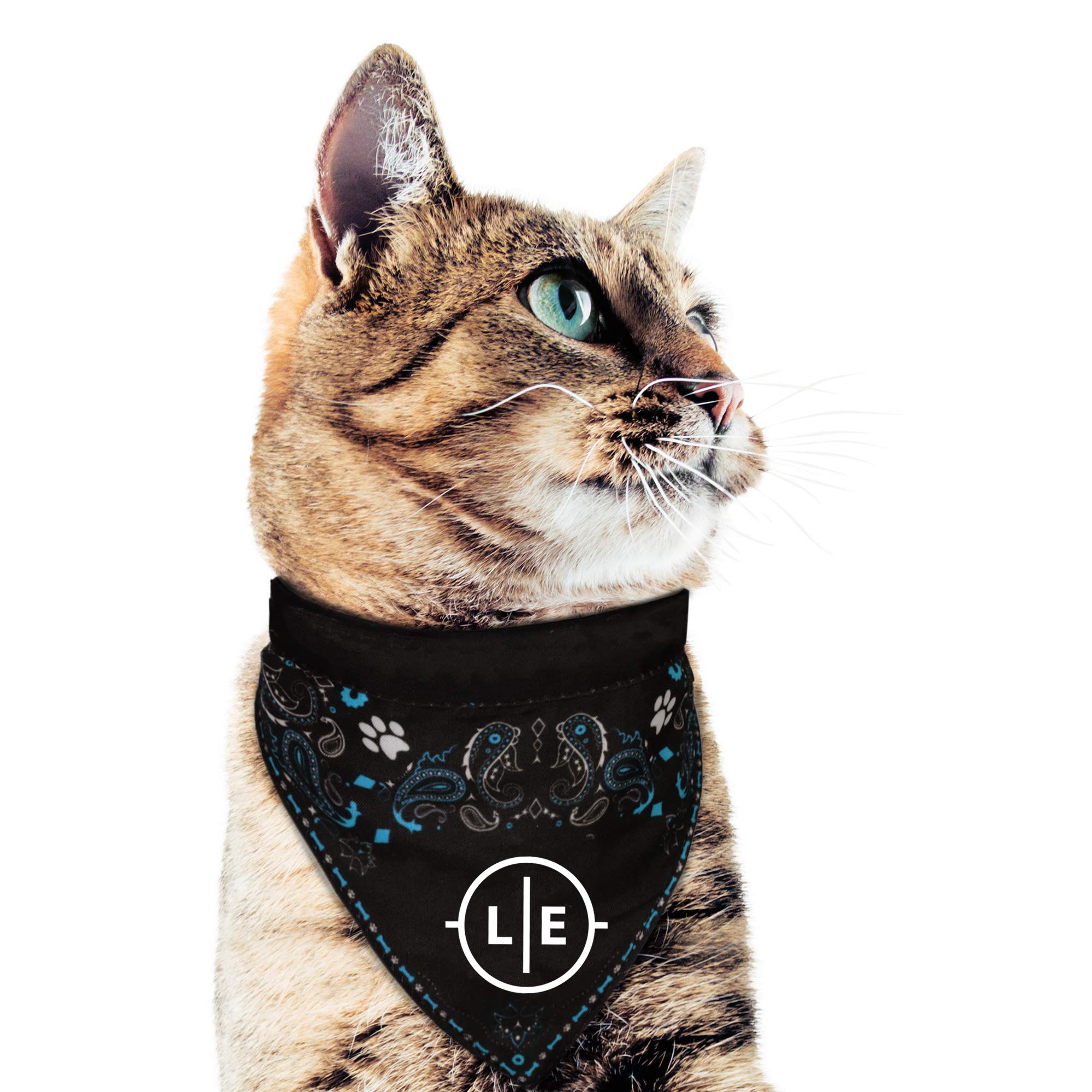 Littlearth Miami Dolphins NFL Pet Bandana