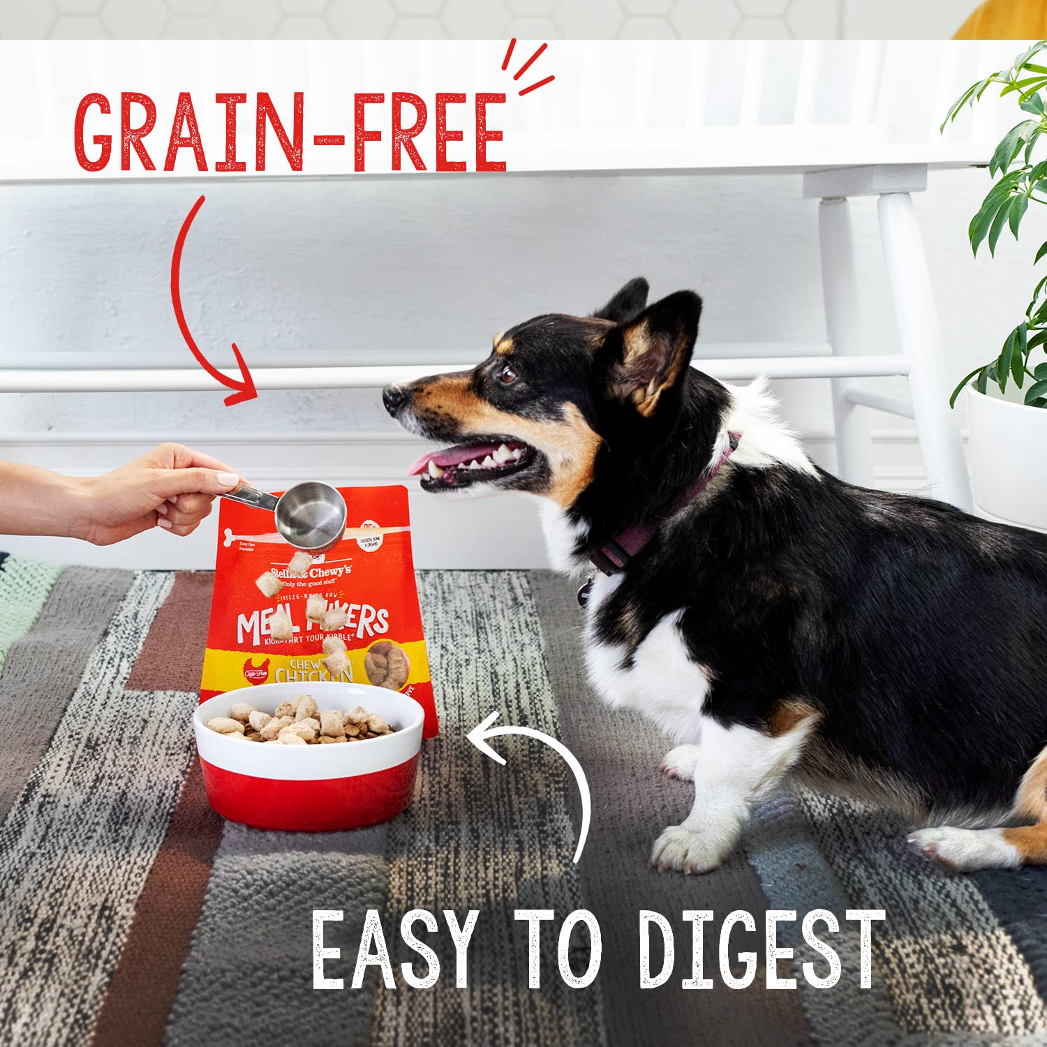 Stella & Chewys Freeze Dried Raw Chewys Chicken Meal Mixers - Dog Food Topper for Small & Large Breeds - Grain Free, Protein Ri