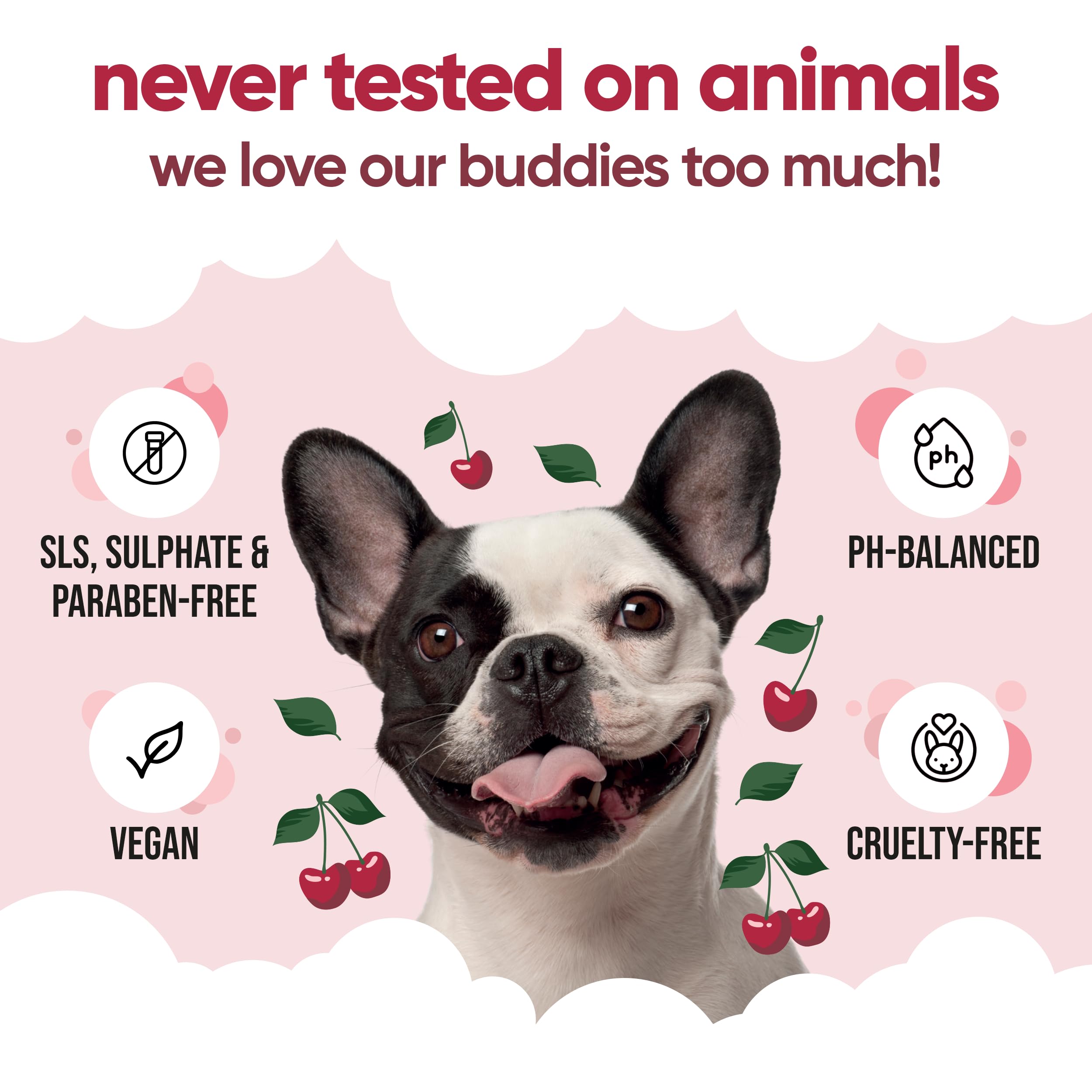 Buddycare Black Cherry Dog Conditioner (169.07oz) Made with Aloe Vera, Argan Oil & Pro Vitamin B5 | Detangle Matted Coats & Reli