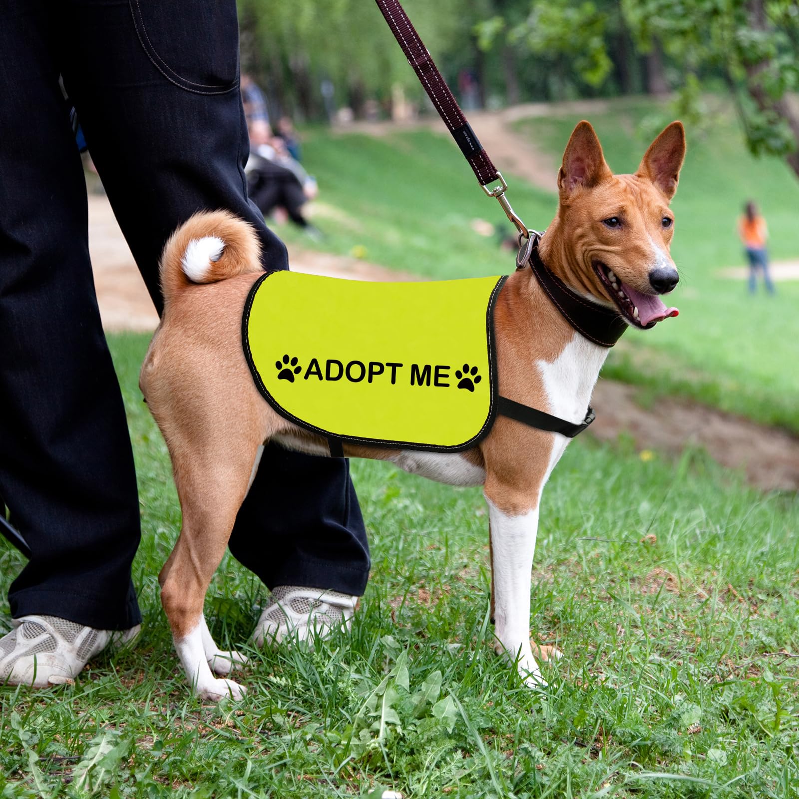 Rescue Dog Jacket Vest Adopt Me Pet Vest Foster Dog Slogan Vest (Adopt Me-Small)