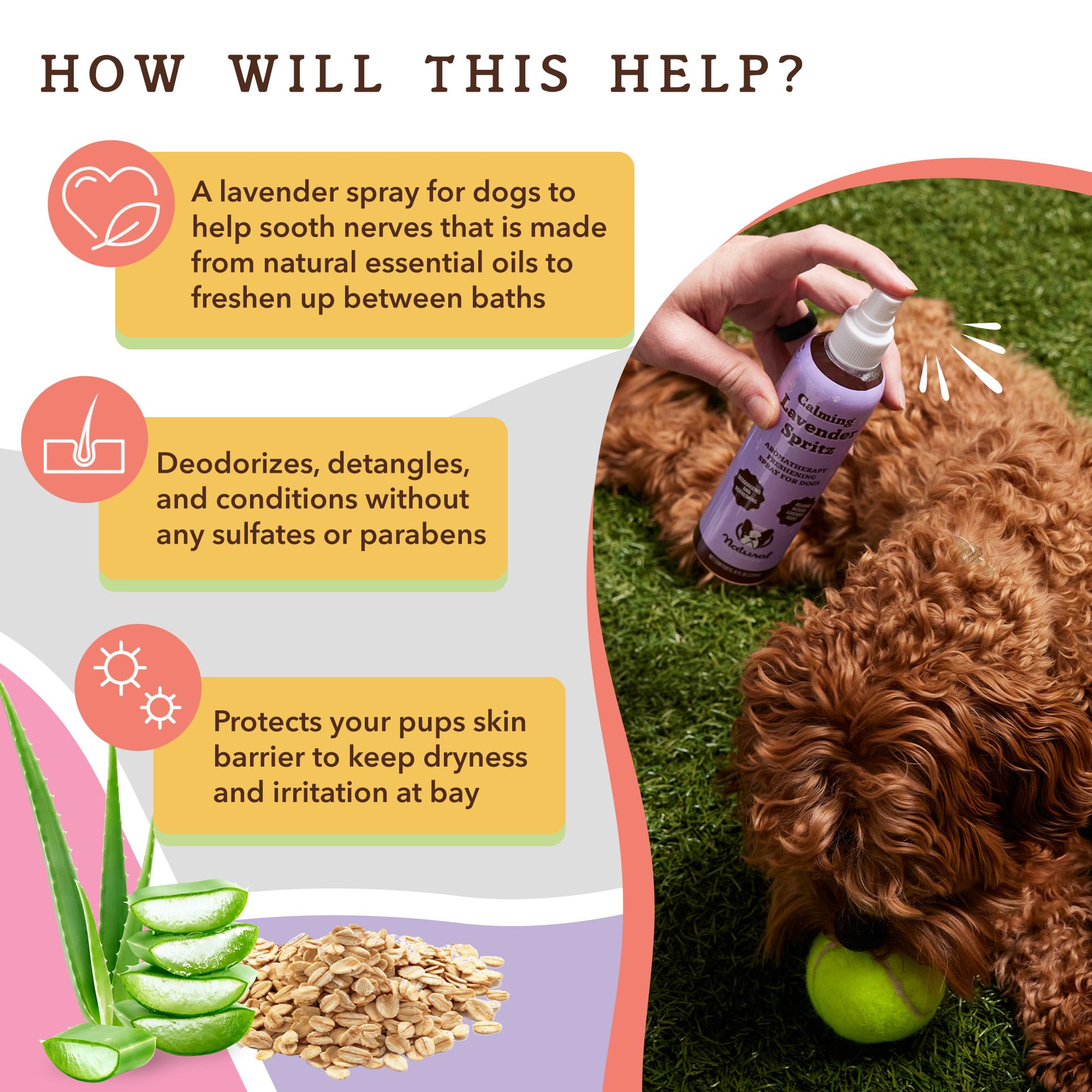 Natural Dog Company Calming Lavender Spritz For Dogs, 8Oz - Deodorizing & Moisturizing, Soothes Skin, Conditions Coat, Hypoaller