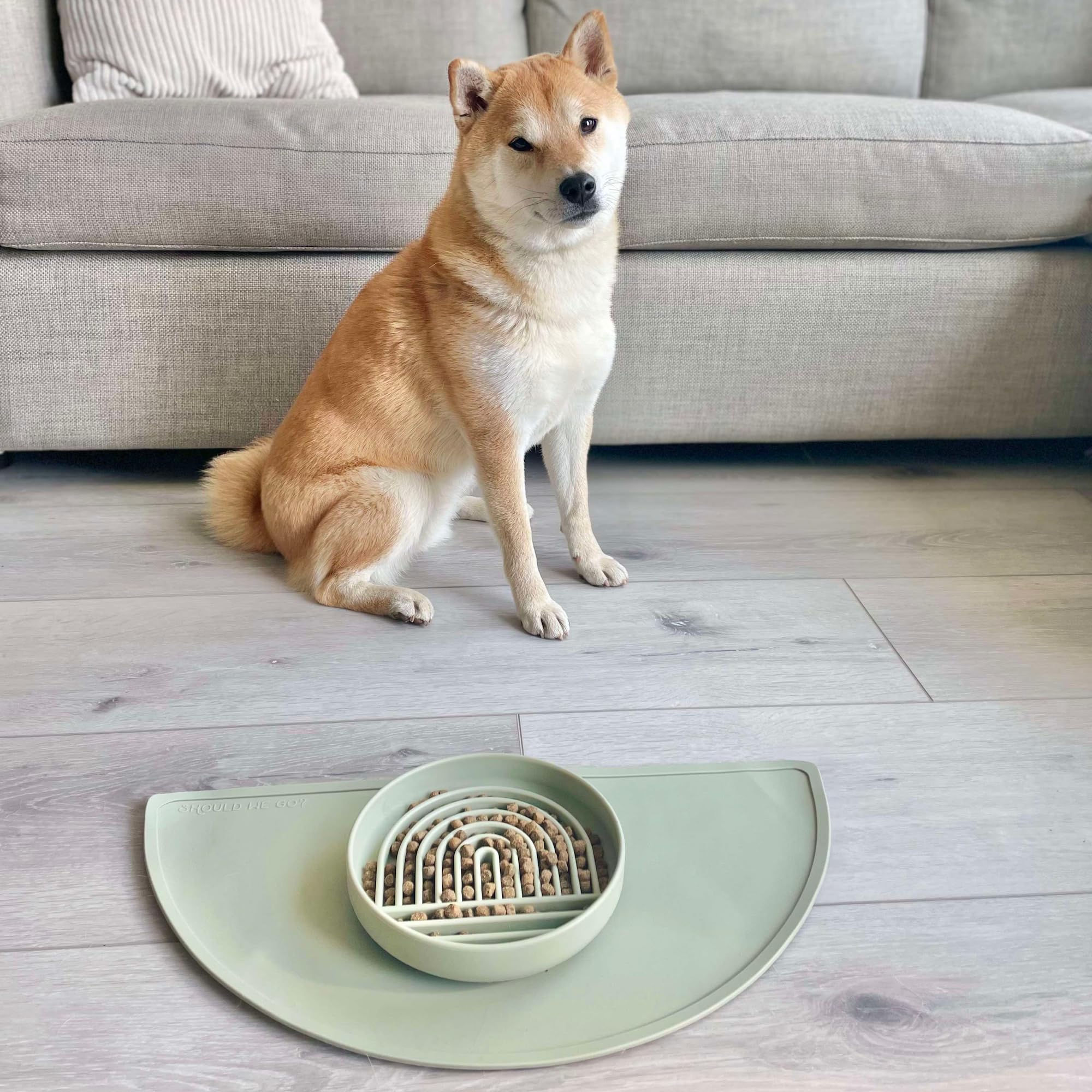 Should We Go? Slow Feeder Dog Bowl, Silicone Puzzle Mat, Medium Size, Honey Color