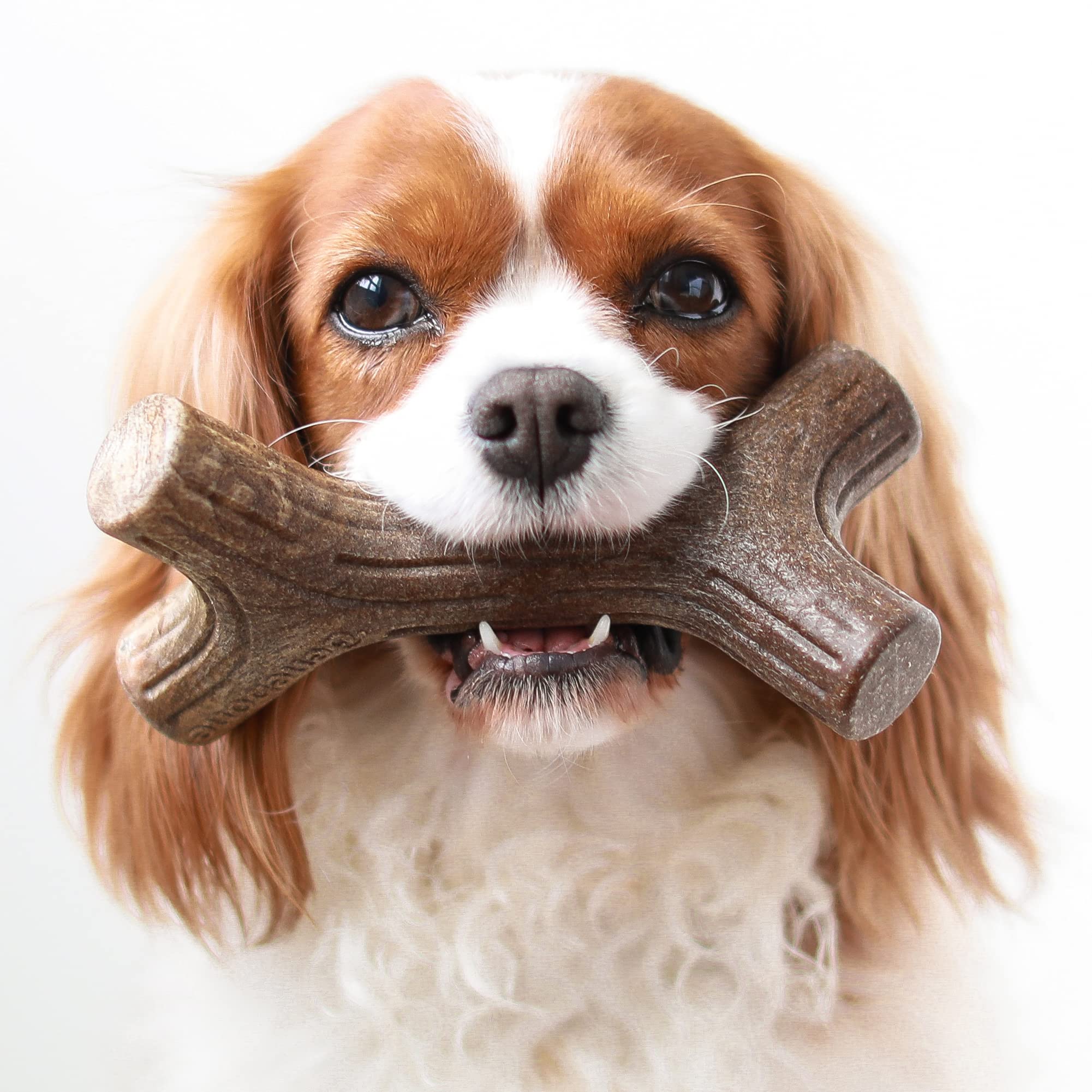 Benebone Small 4-Pack Dog Chew Toys For Aggressive Chewers, Made In Usa, 30Lbs And Under