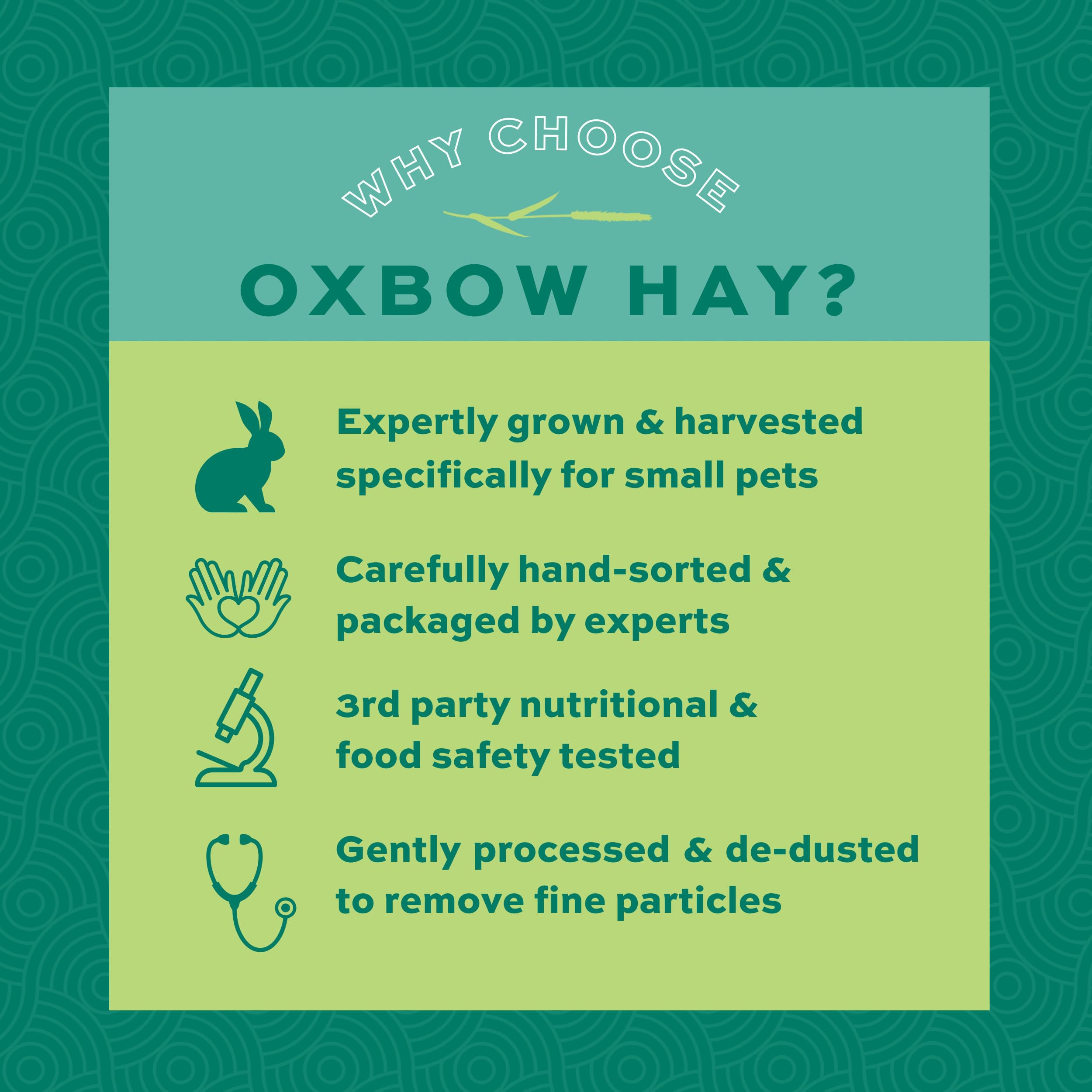 Oxbow Animal Health Western Timothy Hay - All Natural Hay for Rabbits, Guinea Pigs, Chinchillas, Hamsters & Gerbils -Veterinaria