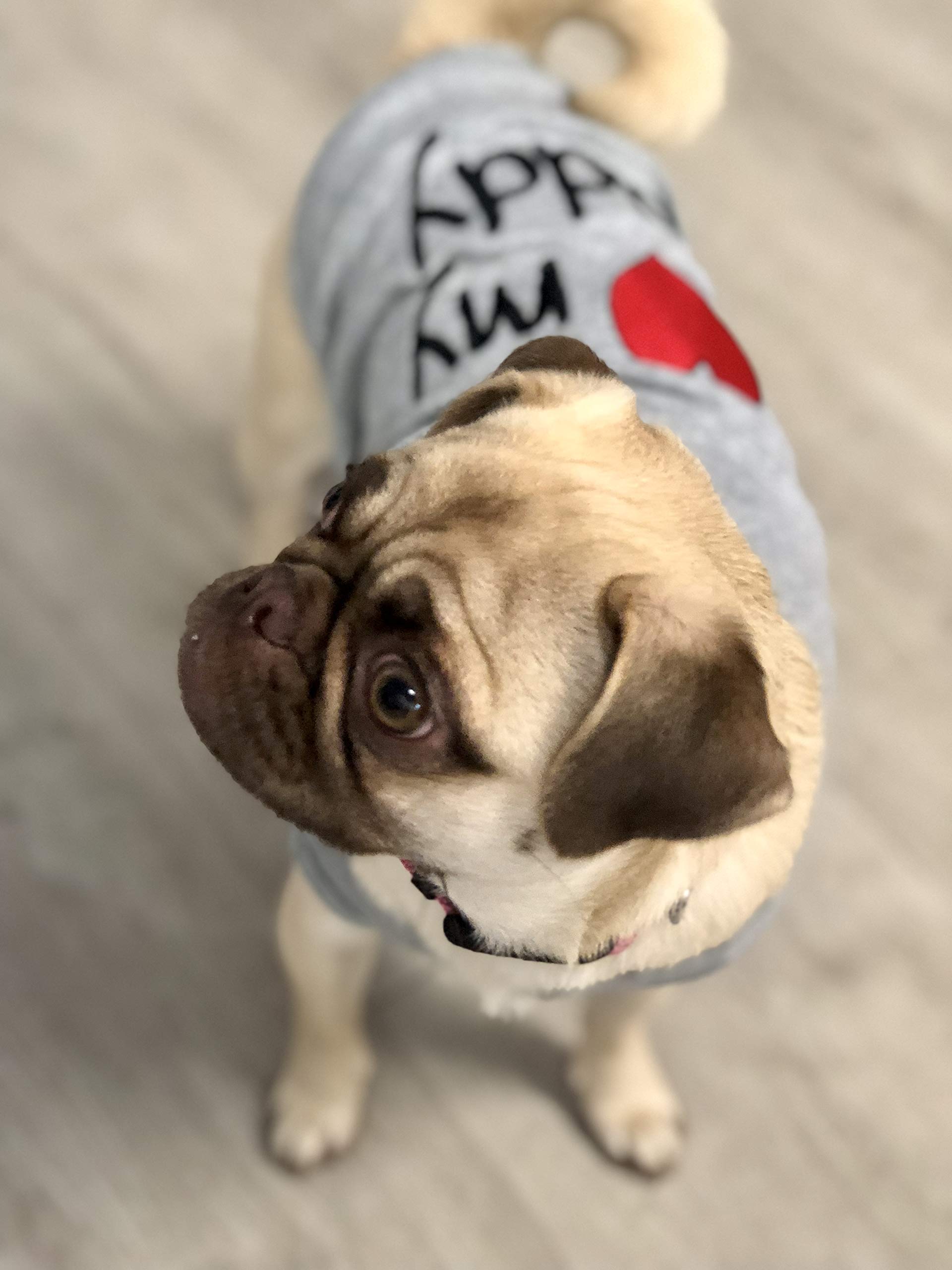 Parisian Pet Unisex Dog T-Shirt - Embroidered 'I Love My Daddy' Fathers Day Dog Tee Shirts - Breathable, Sleeveless Pet Clothes - Dog Shirt For Large Dogs - 2Xl