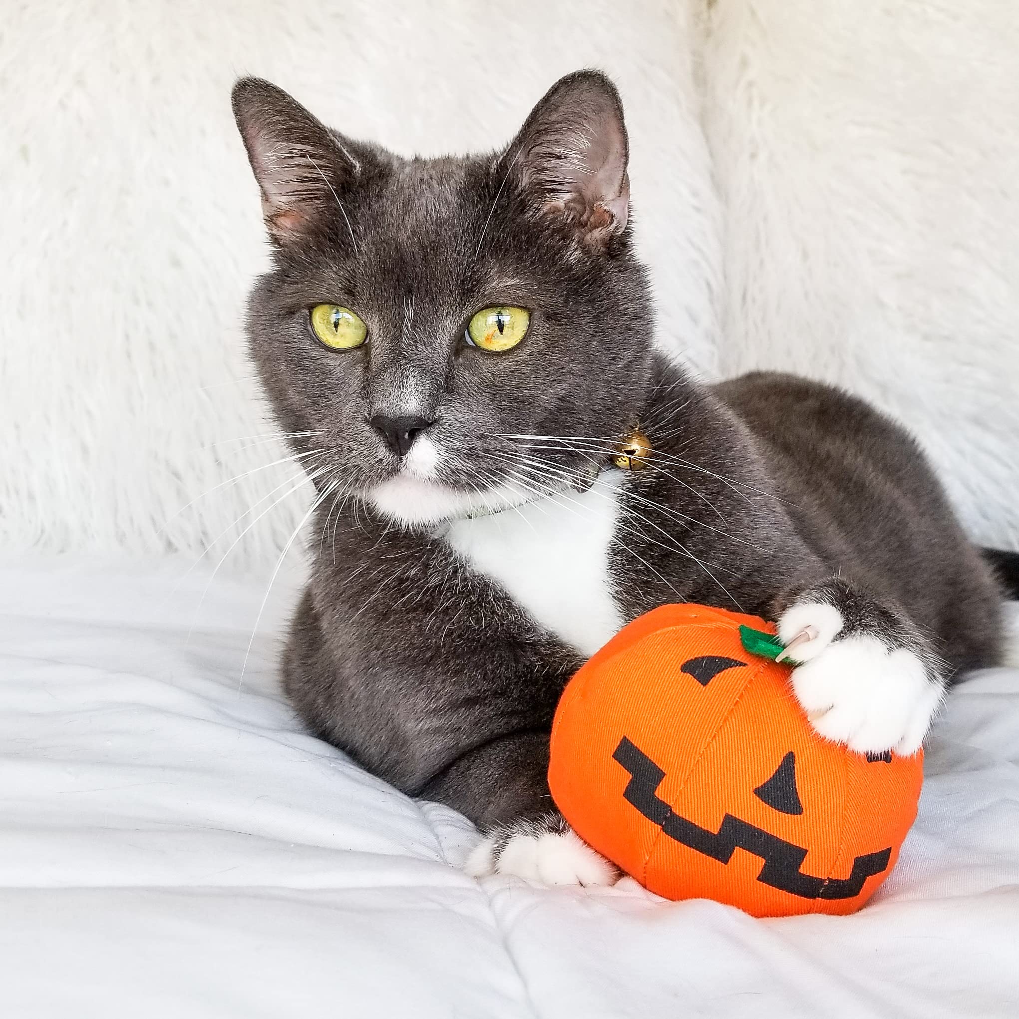 Yeowww Halloween Pumpkin Catnip Toy