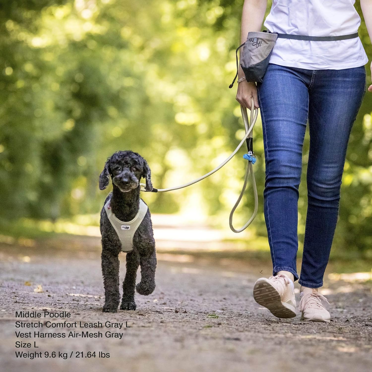 Stretch Comfort Leash Black L