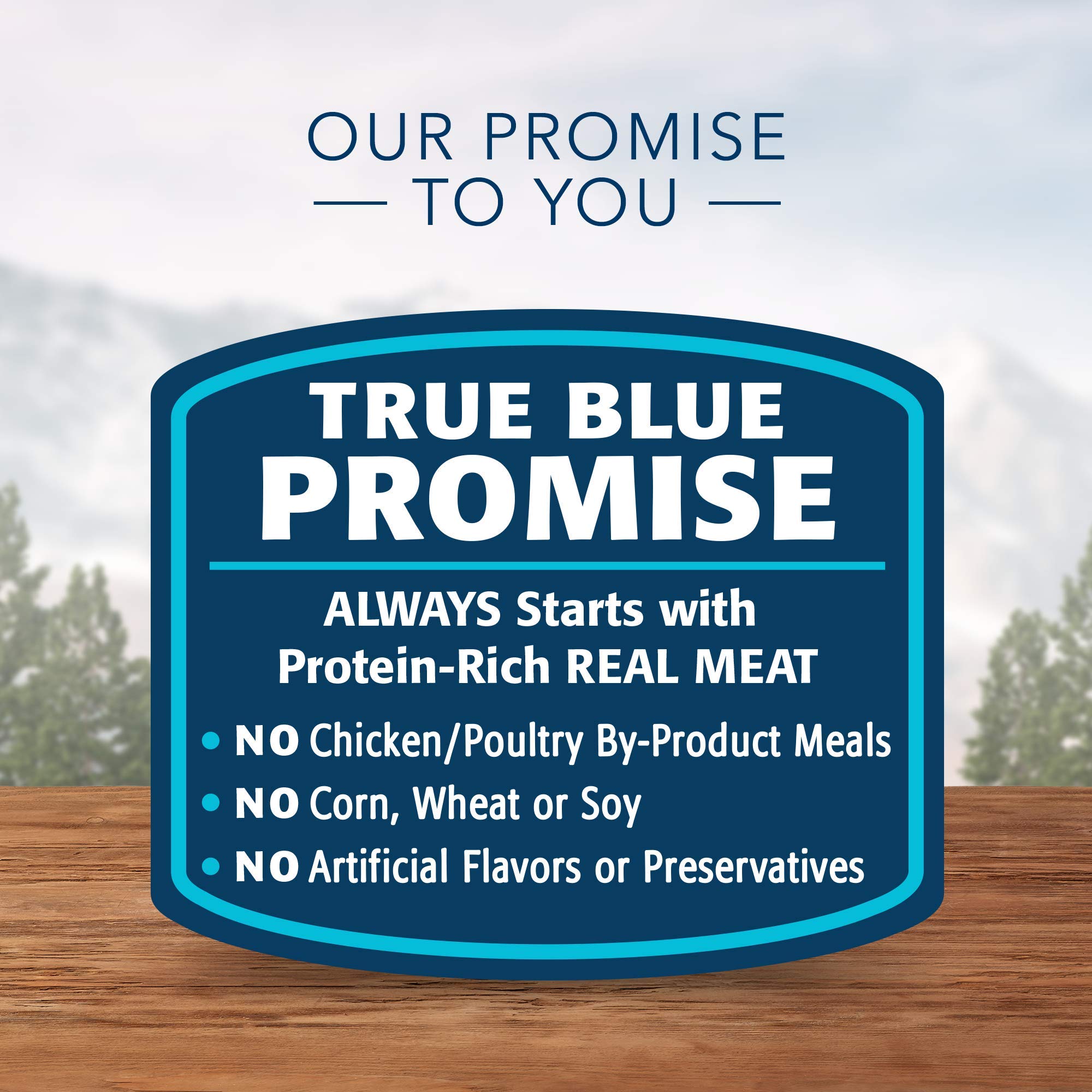 Blue Buffalo Wilderness High Protein Grain Free, Natural Kitten Pate Wet Cat Food Variety Pack, Chicken, Salmon, 3-oz Can, 24 Co