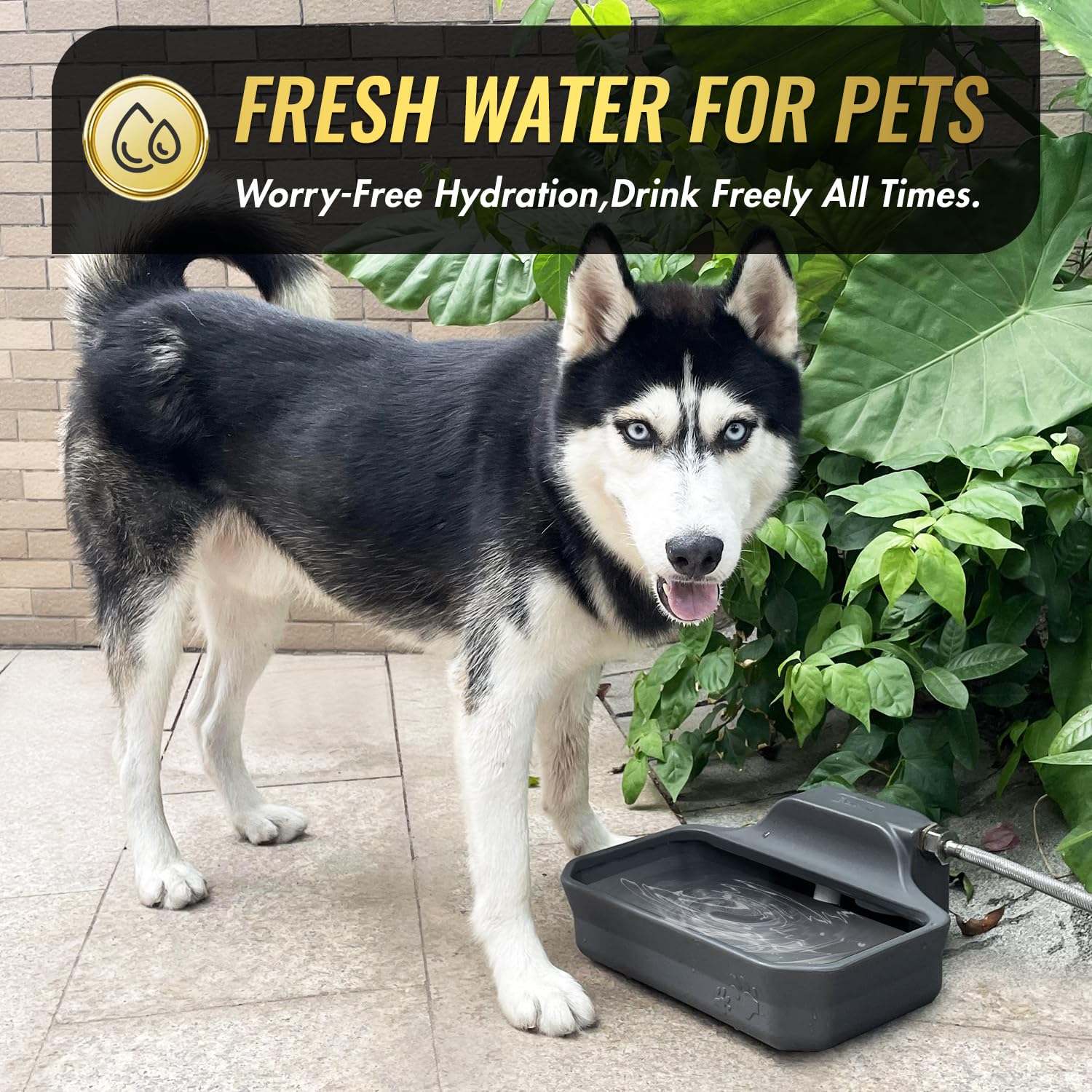 Ficuswin Automatic Dog Water Dispenser 135oz - Extra Large, Grey, Model WB03 for Large Dogs, Includes Water Hose