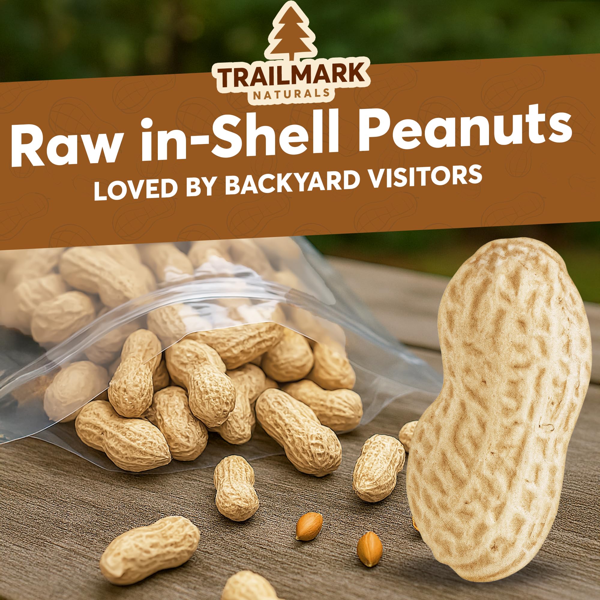 TRAILMARK NATURALS Raw Peanuts for Squirrels & Birds - 25 LB, Grown in the USA