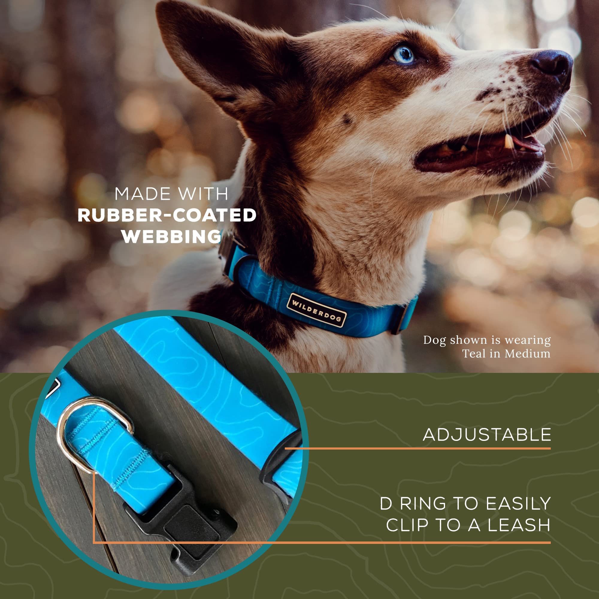 Wilderdog Waterproof Dog Collar - Repels Water & Dirt - Small 11''-15'' - Teal