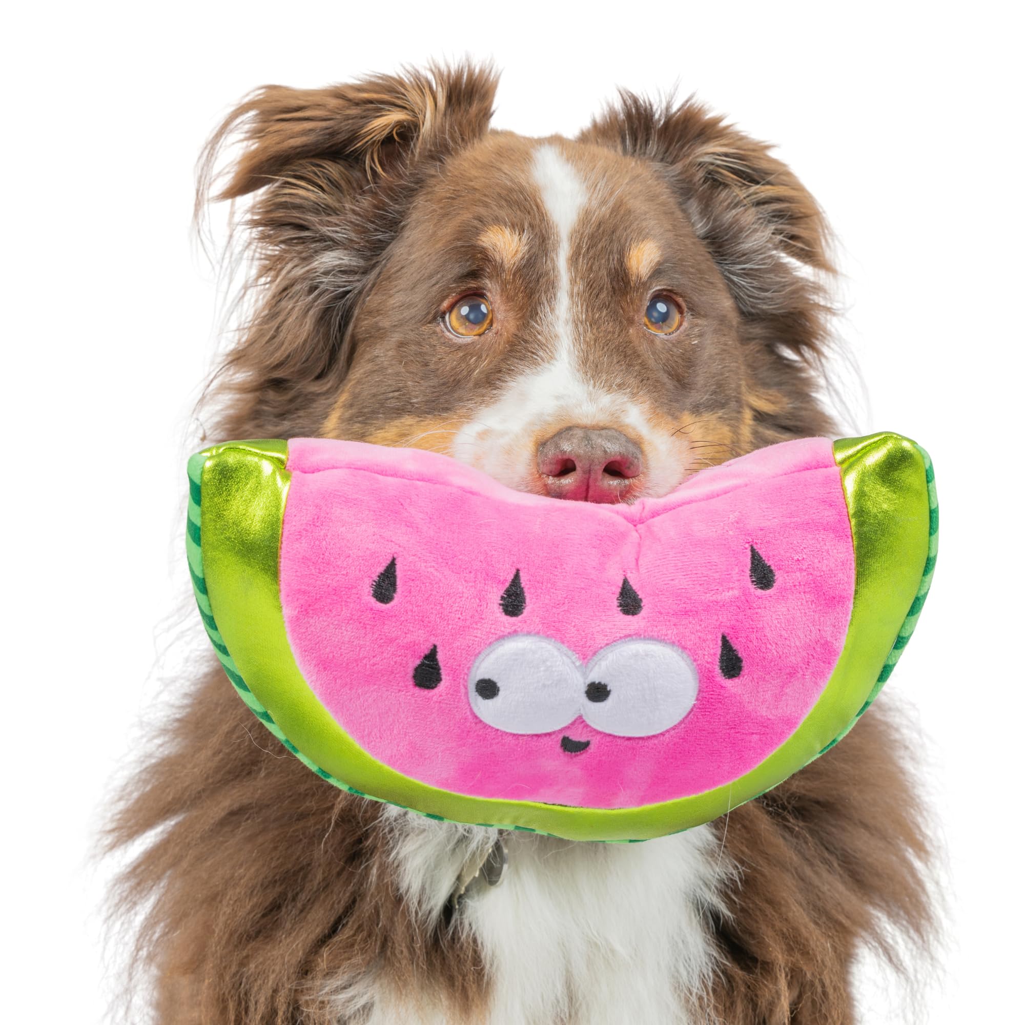 Huxley & Kent For Dogs - Walter Melon (Large) - Power Plush Dog Toy With Squeaker - Fun, Durable - H&K Squeaky Funny Dog Toy