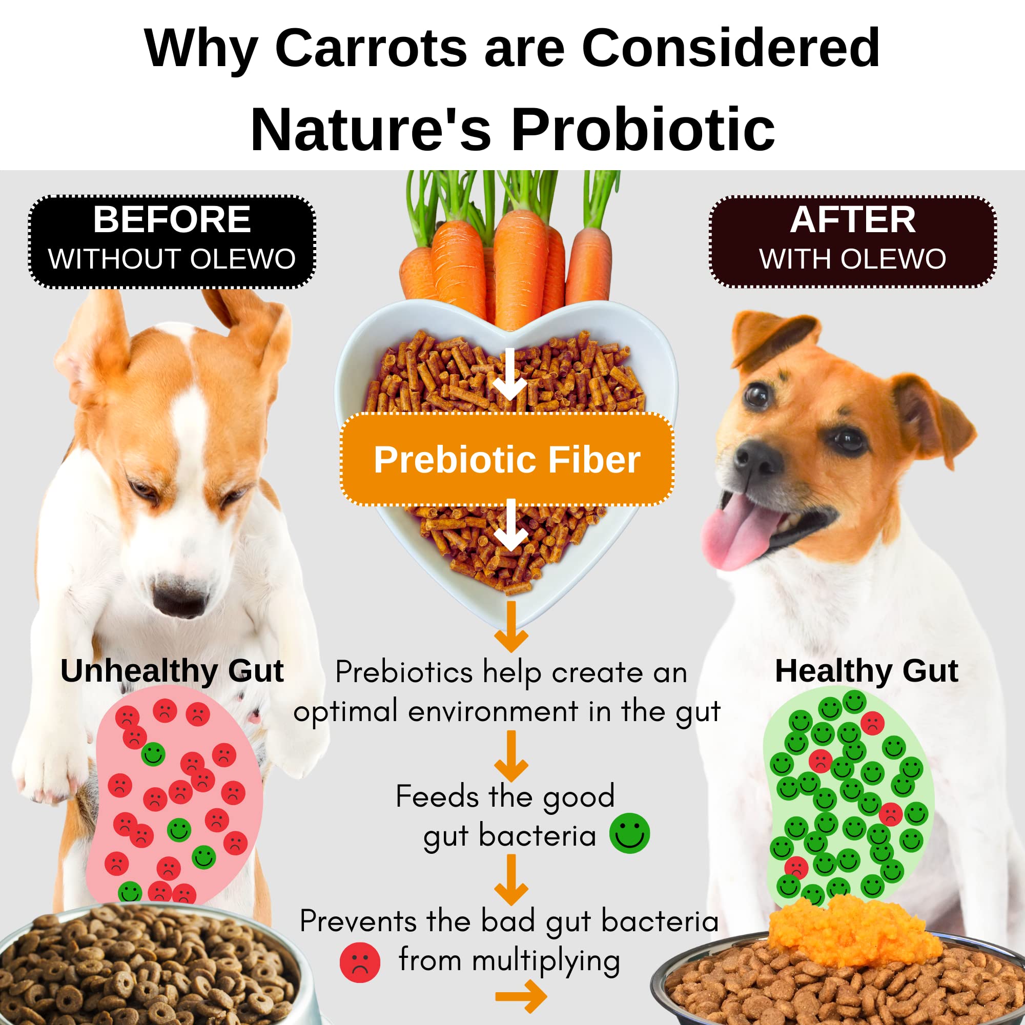Olewo Original Carrots for Dogs - Fiber for Dogs Keep Poop Firm, Digestive Dog Food Topper, Skin & Coat Support, Dehydrated Whol
