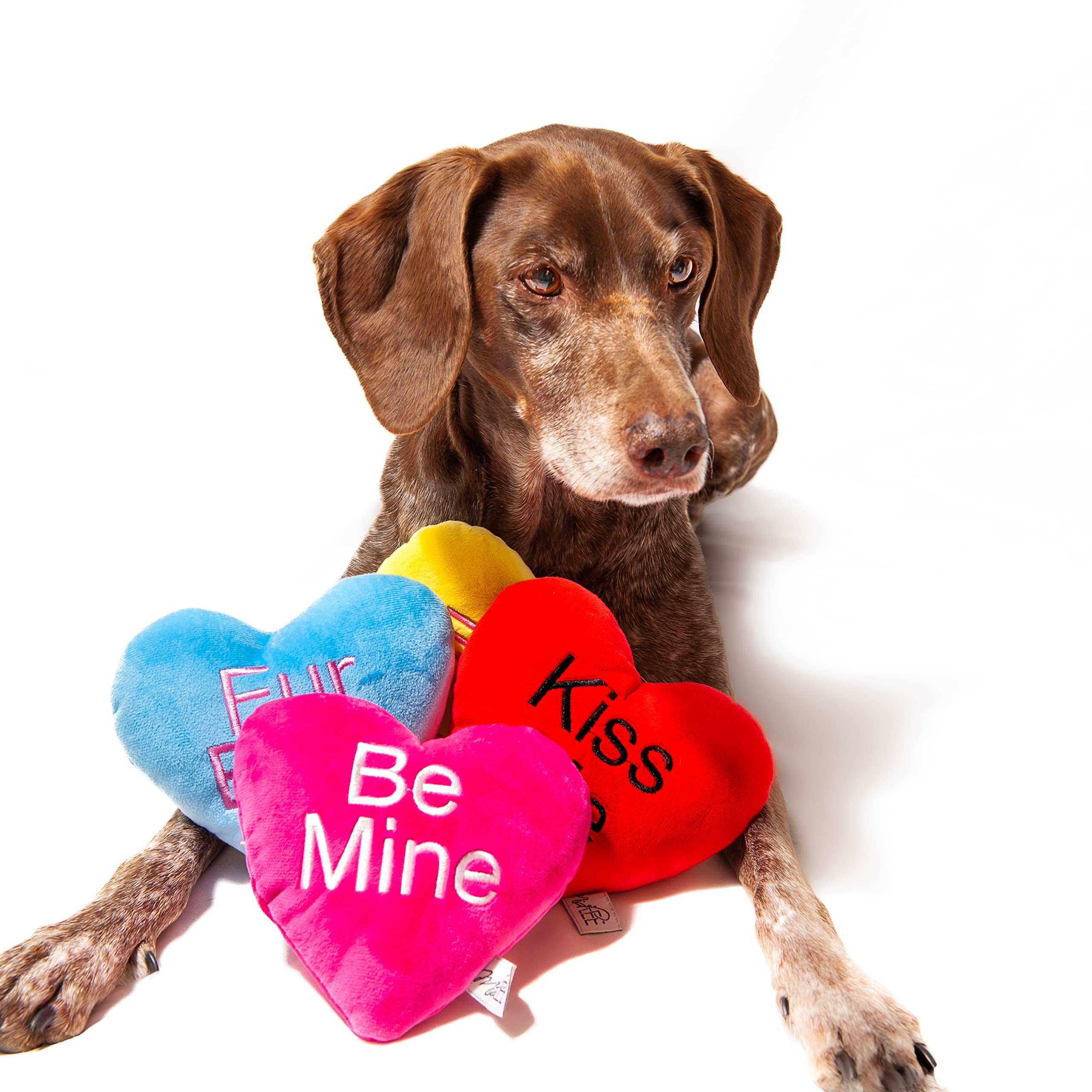Midlee Candy Heart Valentines Dog Toy- Set of 4- Large- Conversation Plush Squeaky Present