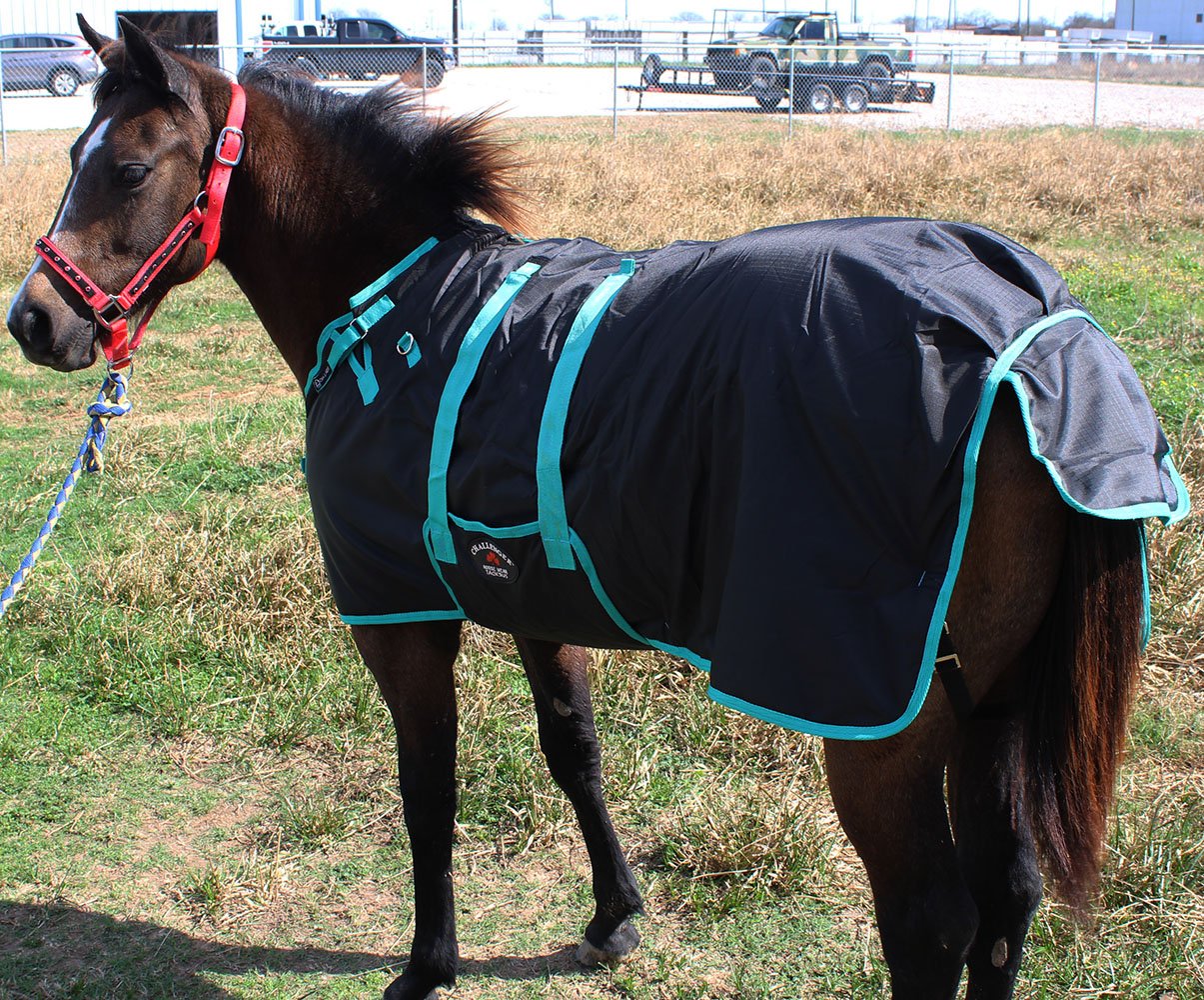 Challenger 56' 1200D Miniature Weanling Donkey Pony Horse Foal Winter Blanket Teal 51945