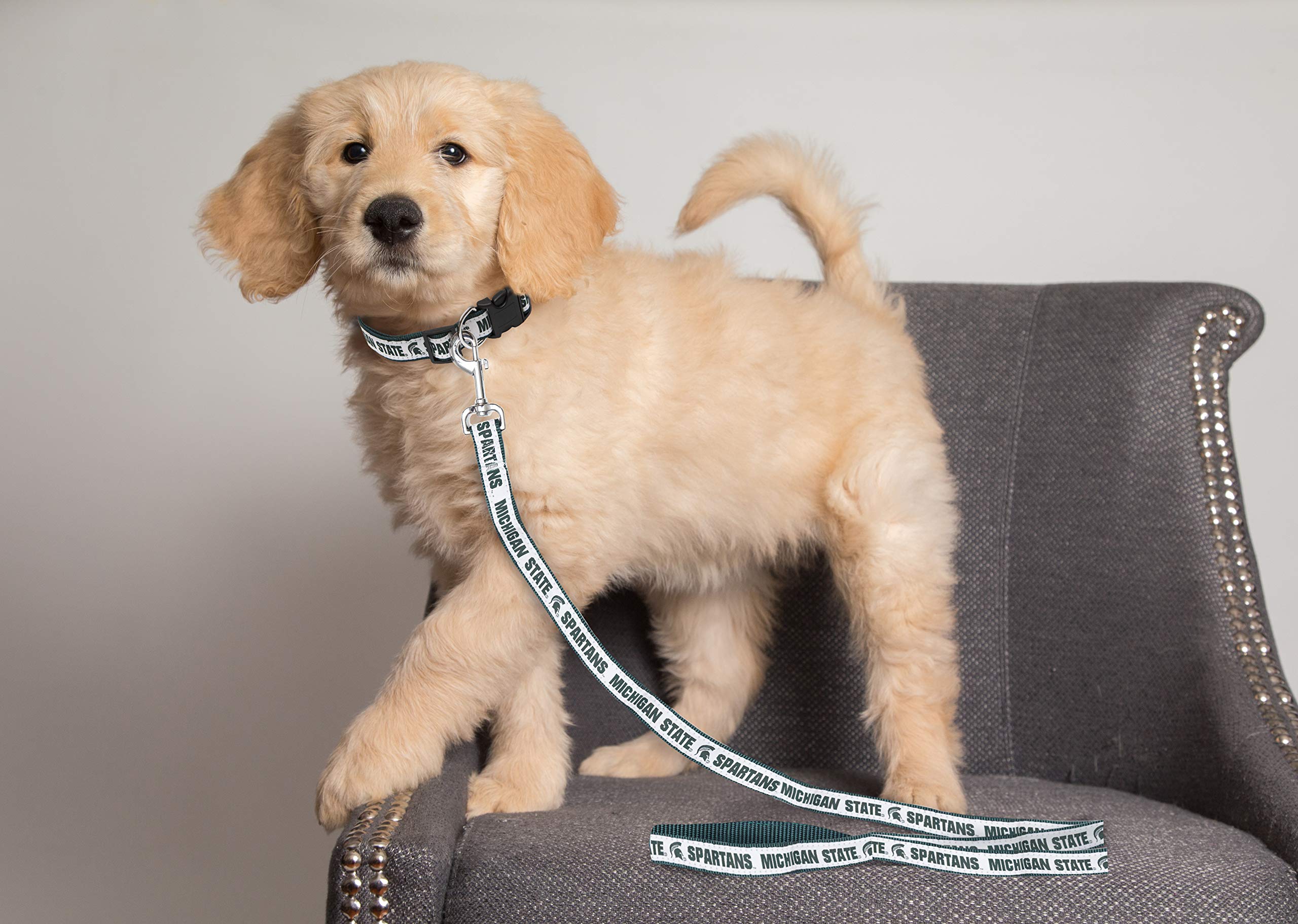 NCAA PET Leash, Large, Michigan State Spartans, Dog Leash, Shiny & Colorful Leash for Dogs & Cats Licensed by The NCAA