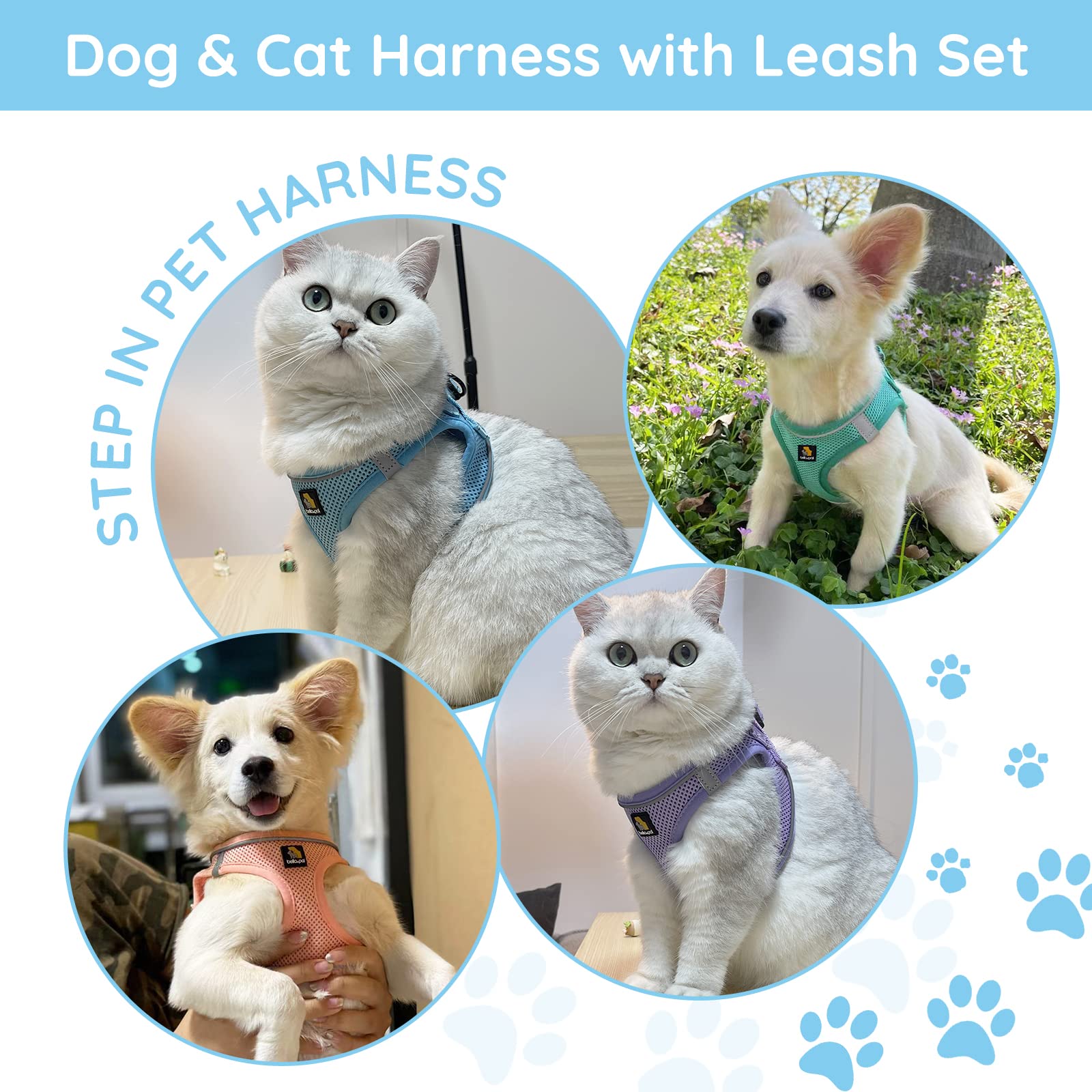 Bella & Pal Puppy Harness With Leash Set, Dog Harness For Small Dogs No Pull, Dog Leash For Small Dogs, Step In Harness For Extra Small Dogs, Blue Harness, M