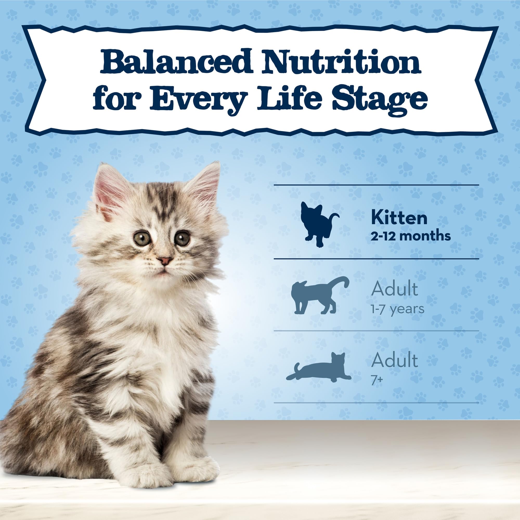Blue Buffalo Baby BLUE Natural Grain-Free Dry Food for Kittens, Healthy Growth Formula with DHA, High-Protein Savory Chicken Rec