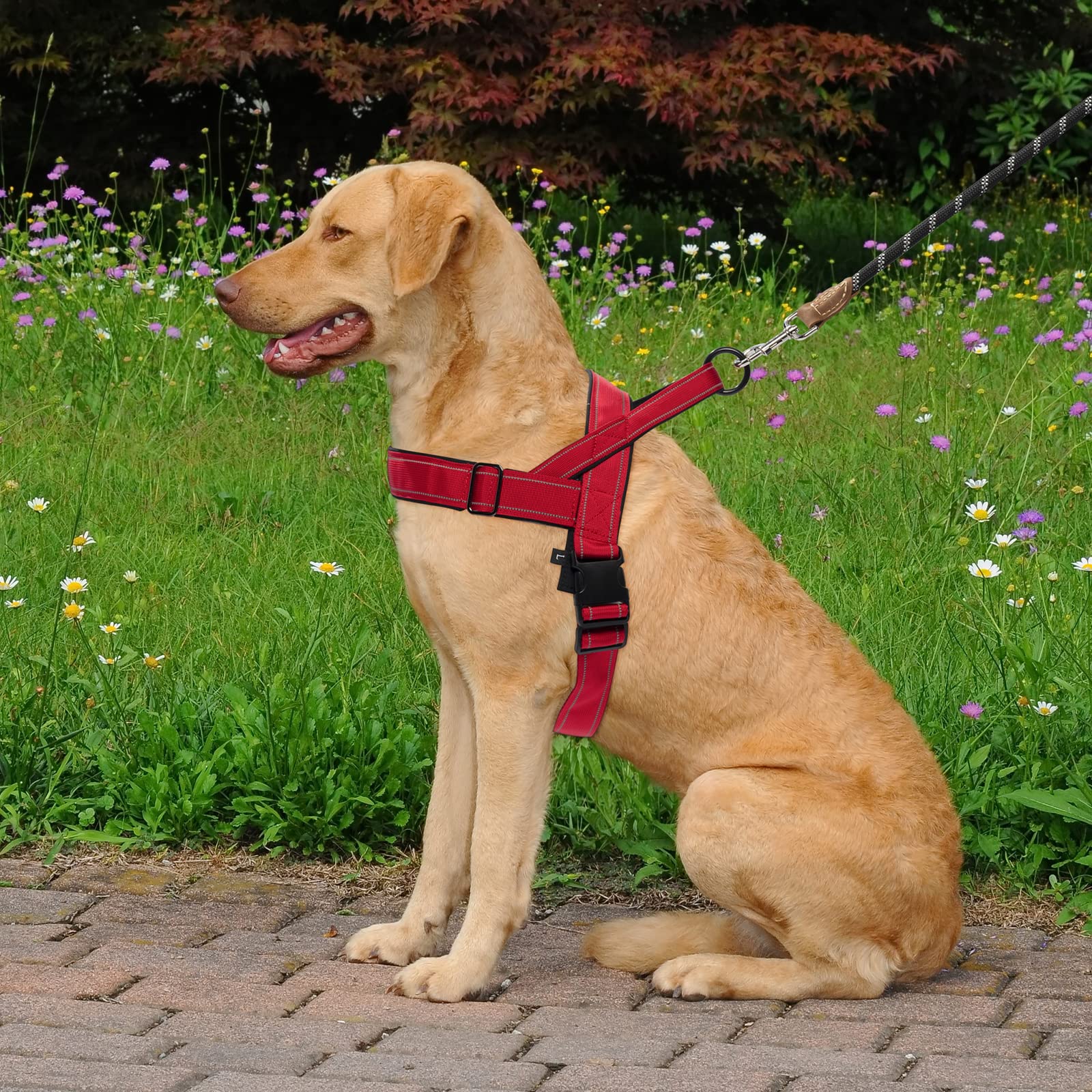 Qifbyfb Dog Harness, No Pull Dog Harnesses For Small Medlium Large Dogs Escape Proof Reflective With Comfortable Handle(Red, Xl)