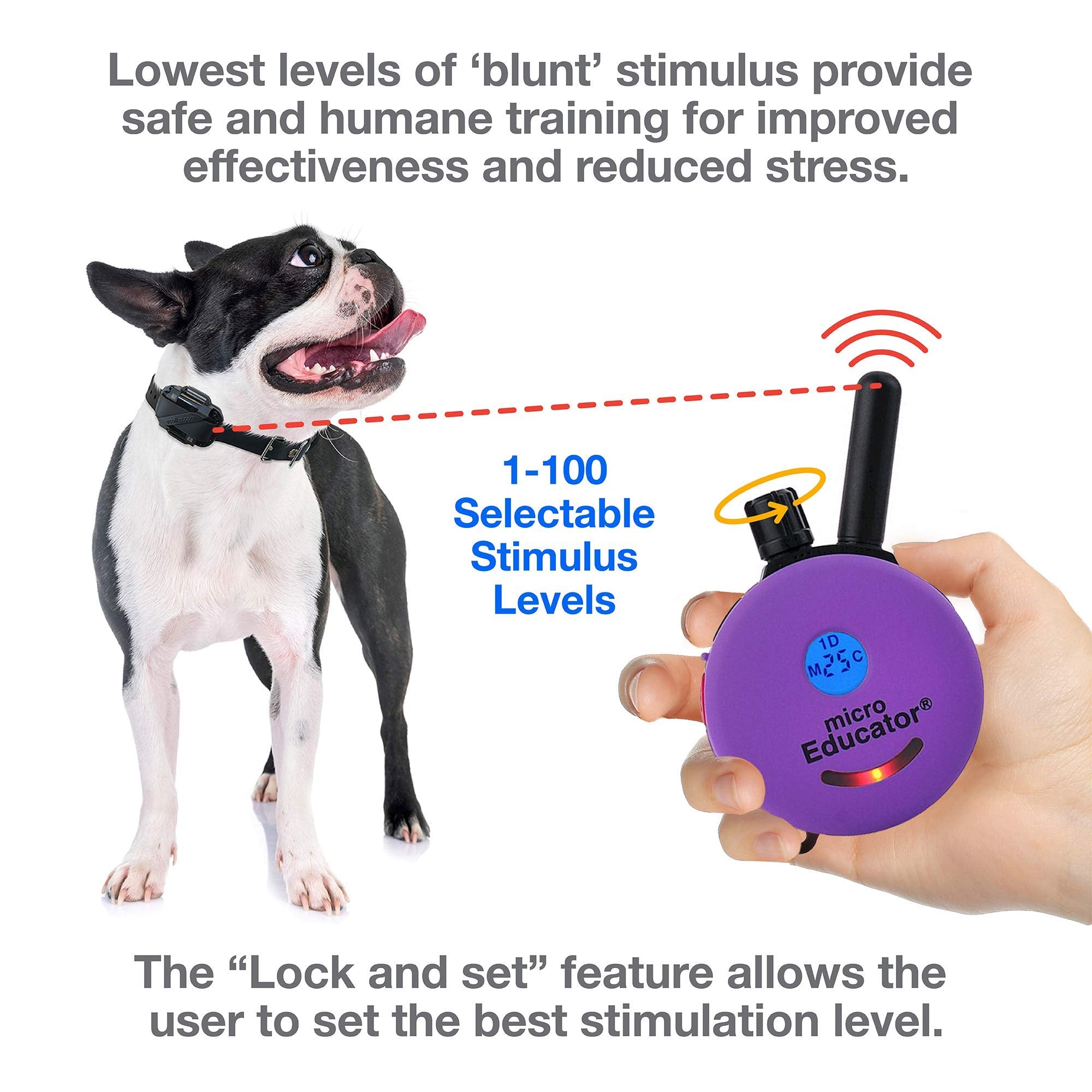 Educator E-Collar Humane Dog Training Collar With Remote, 100 Safe Tapping Stimulation Levels, Night Light, Waterproof, Rechargeable, 1/3 Mile 1 Small Dog, Purple