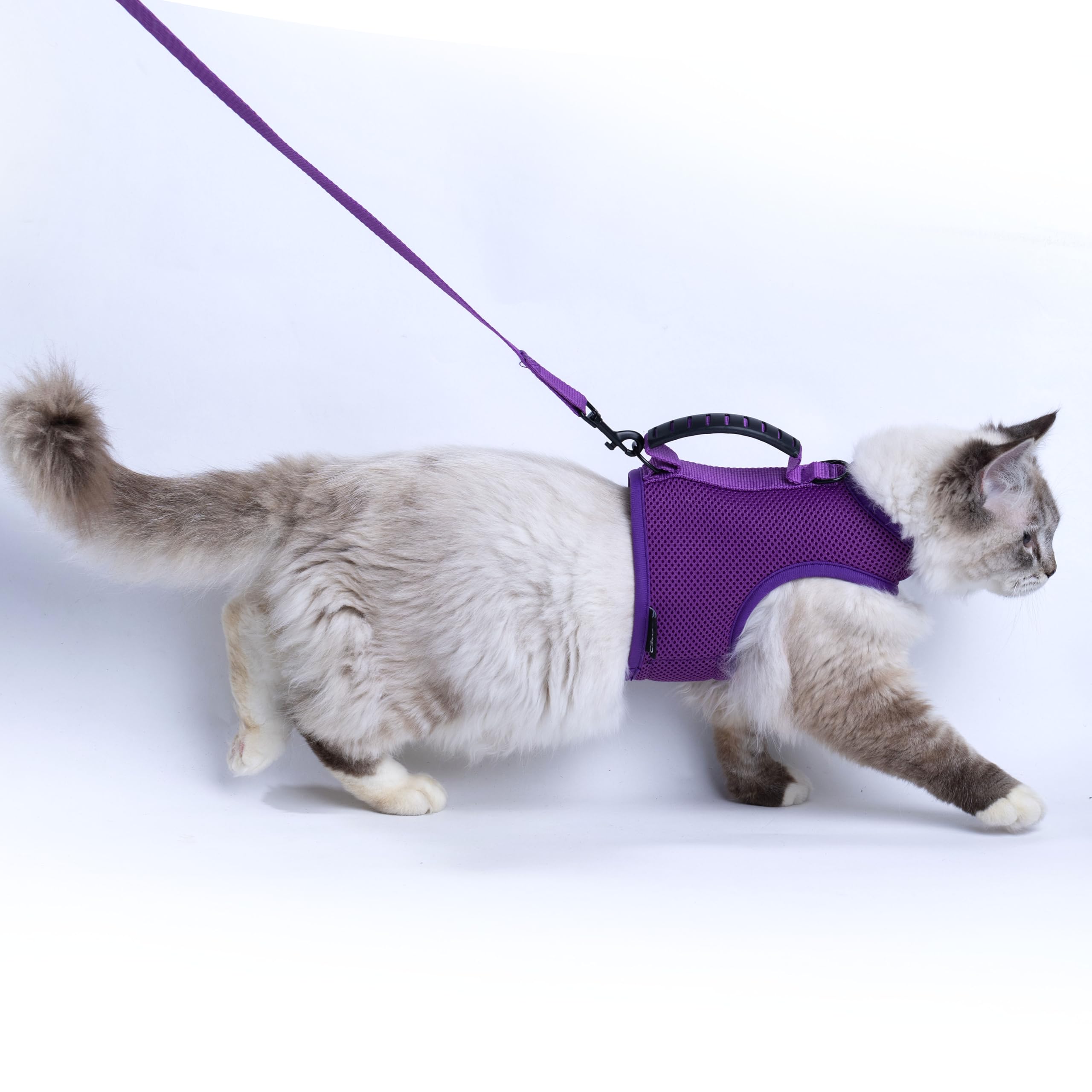 Yizhi Miaow Cat Harness and Leash for Walking Escape Proof Breathable Mesh Fabric, Purple, XX-Large, Adjustable Cat Walking Jack