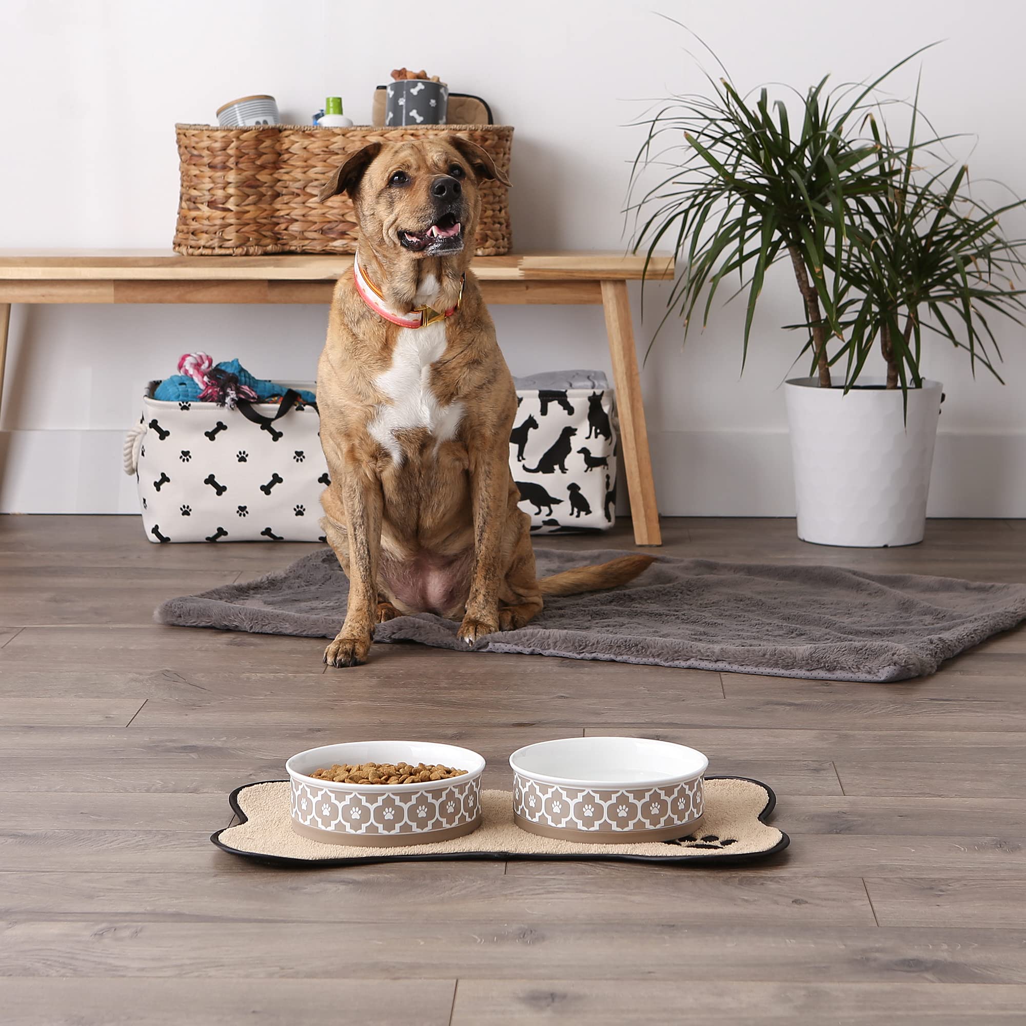 DII Pet Bowl Lattice Stone Large 7.5Dx2.4H (Set of 2)