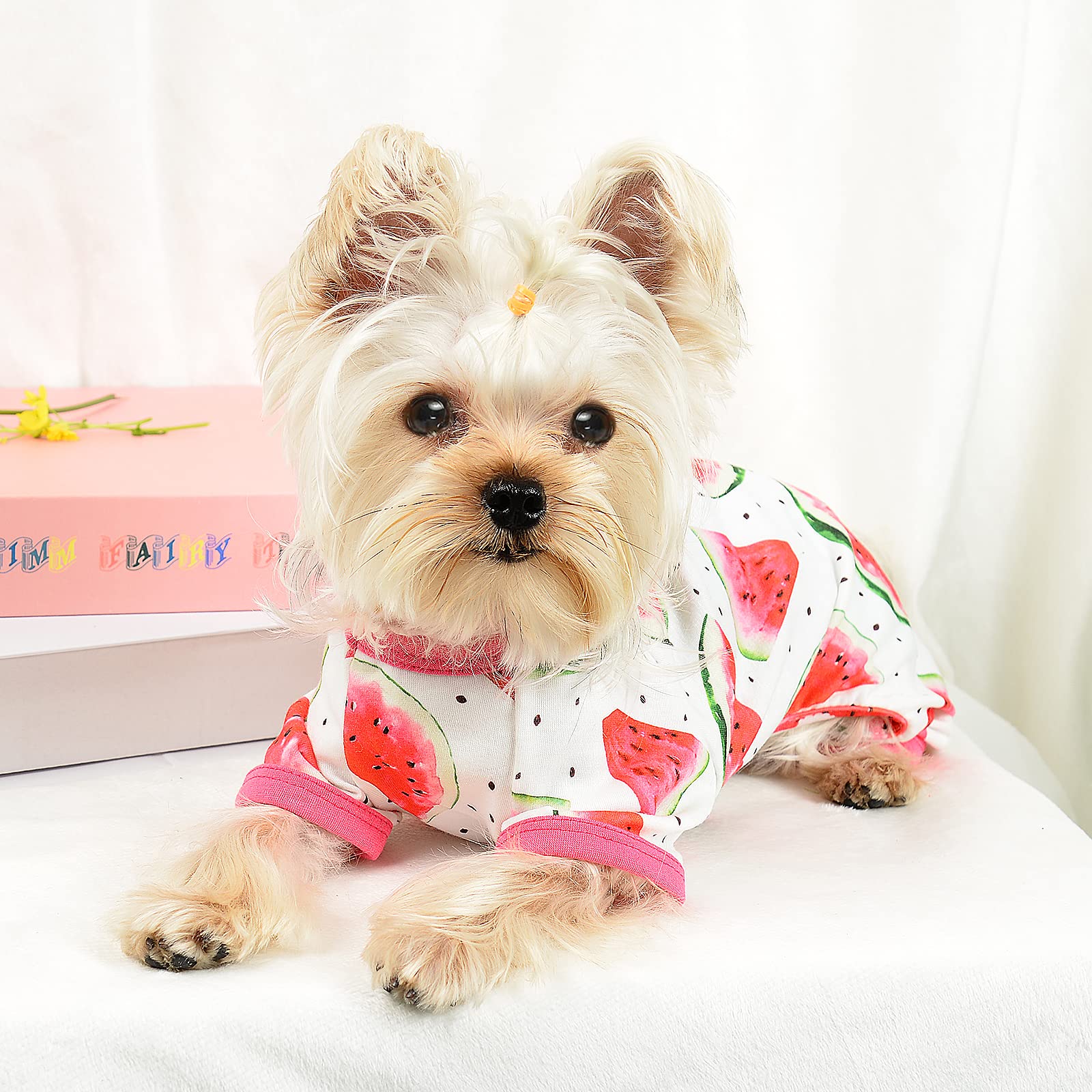 Dog Pajamas For Small Dogs, Chihuahua Pajamas, Puppy Clothes, Extra Small Puppy Pjs, Soft Pet Pis,Dog Shirts Chihuahua Yorkie Teacup Cat Clothing (Watermelon, Small)