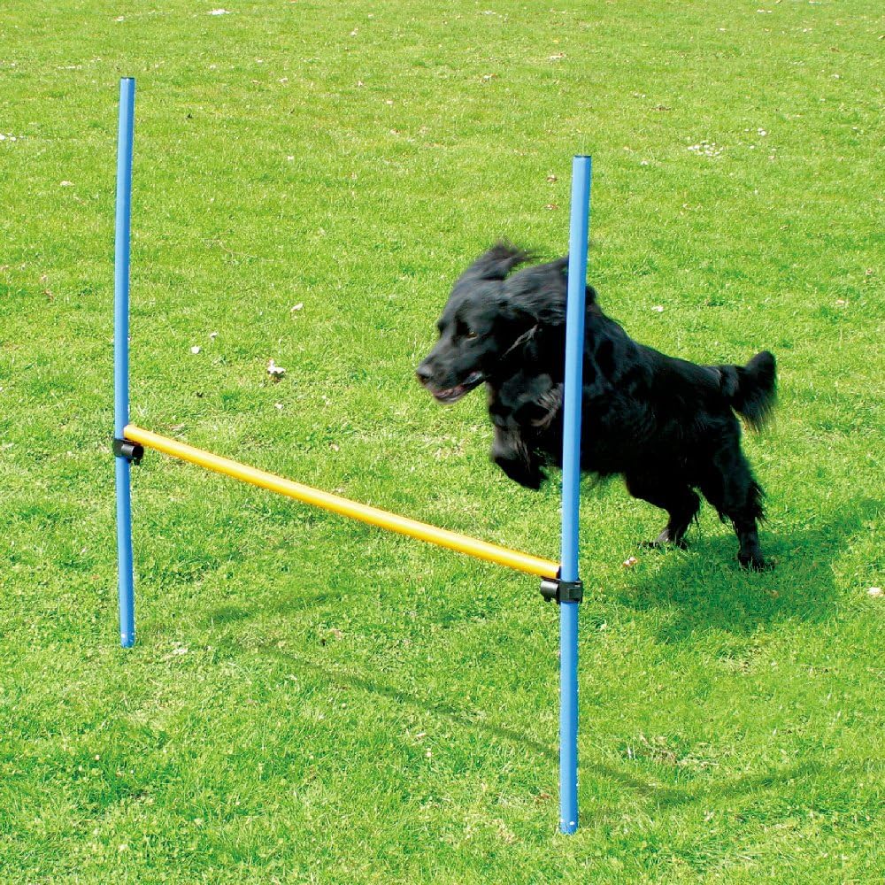 Pawise Dog Training Exercise Equipment,Dog Agility Training Equipment,Dog Jump Hurdles Training Equipment,Playground Equipment Outdoor