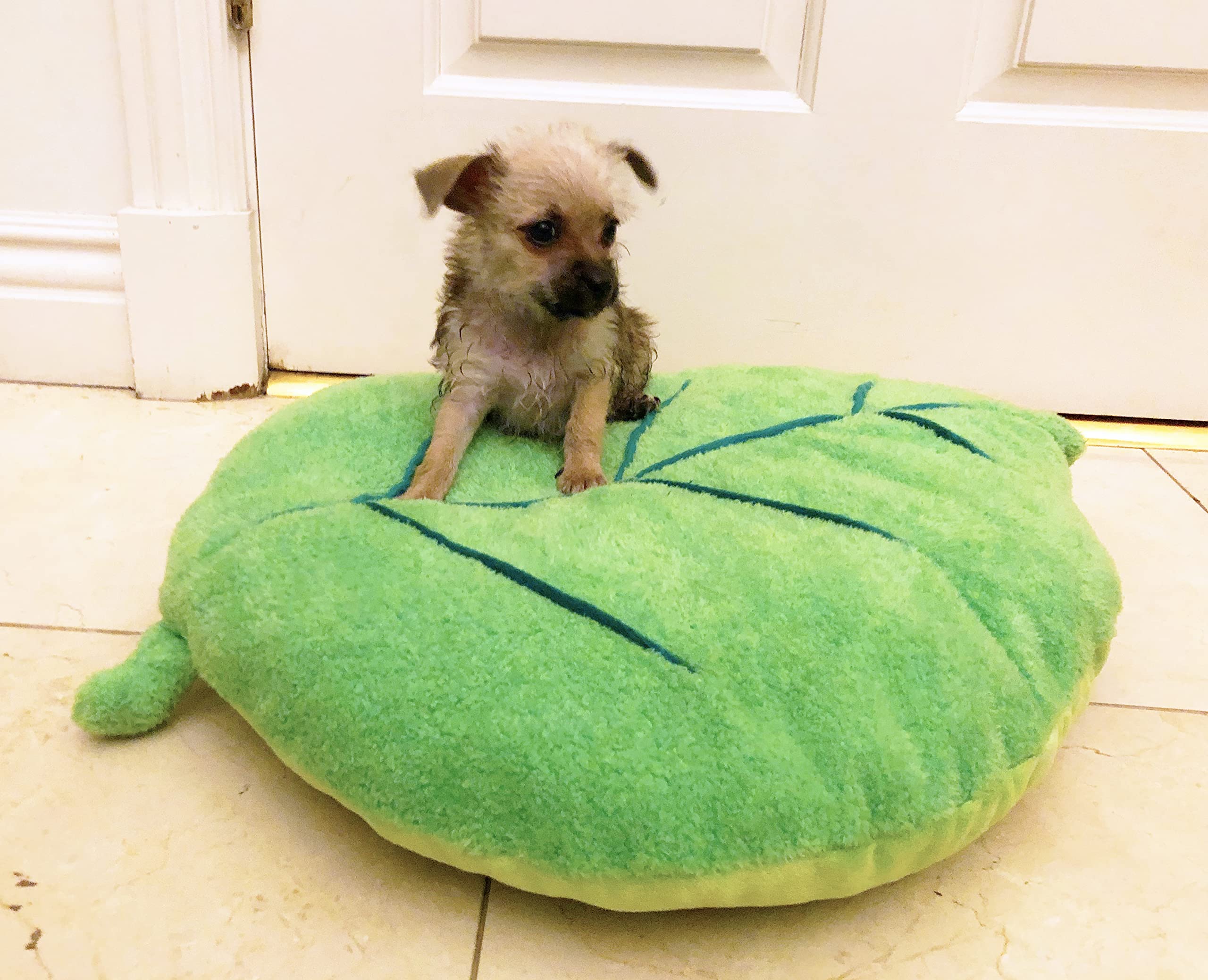 Tonbo Soft Plush Extra Small Cute And Cozy Leaf Dog Cat Bed, Washer And Dryer Friendly (Leaf)