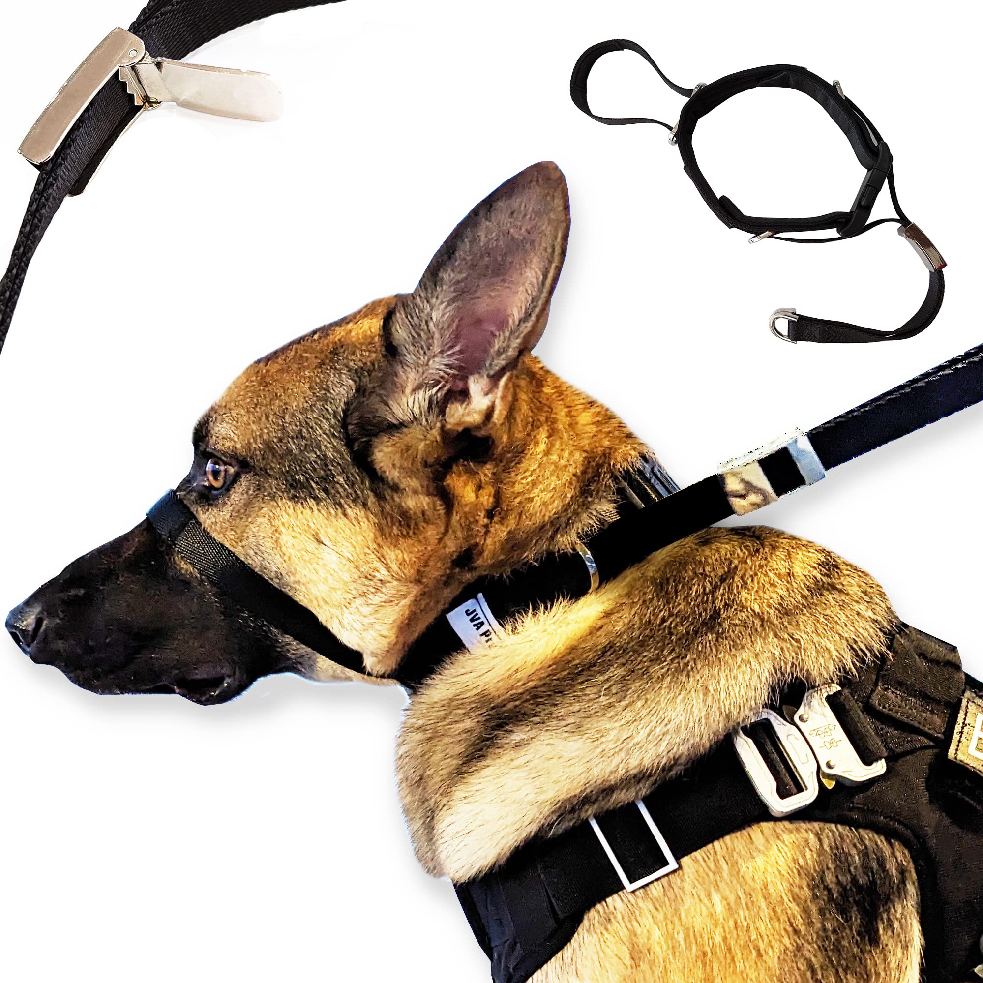 Petspromax No-Pull Dog Headcollar (Medium) | Instant Stop Dog Pulling For Comfortable, Safe, And Effective Walking. Designed To
