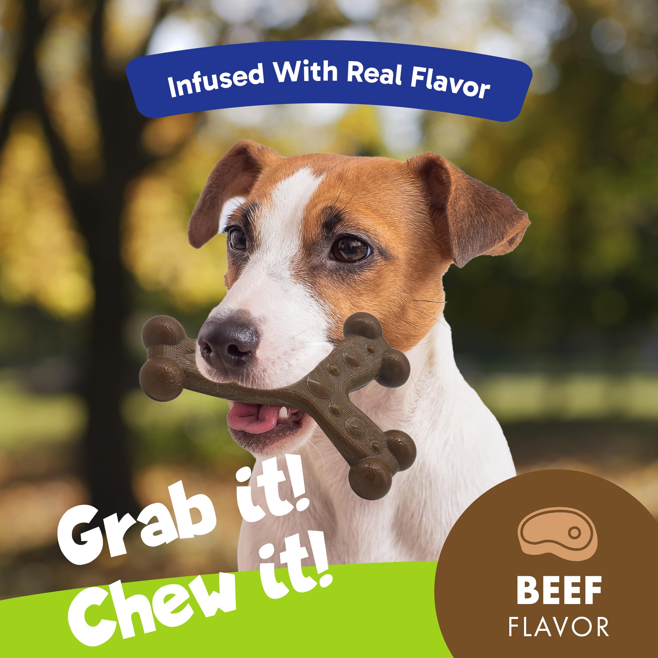 Chew'Ems Durable Chew Toys For Small Dogs, Long-Lasting & Flavorful Chew Dog Toys, Small Dog Breeds | Beef-Flavored