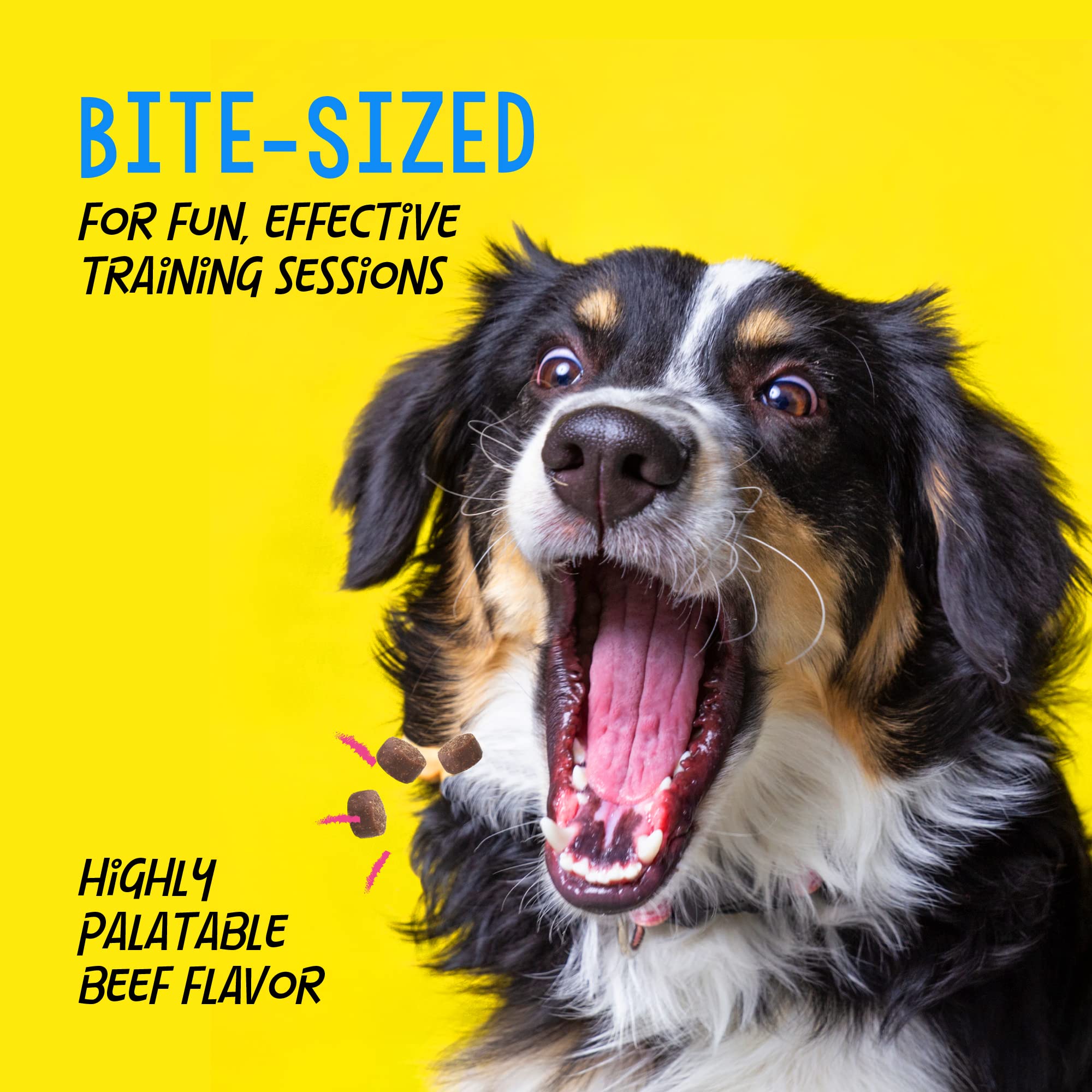 Crazy Dog Mini Train-Me! Training Treats 4 oz. Pouch, Beef Flavor, with 200 Treats per Bag, Recommended by Dog Trainers