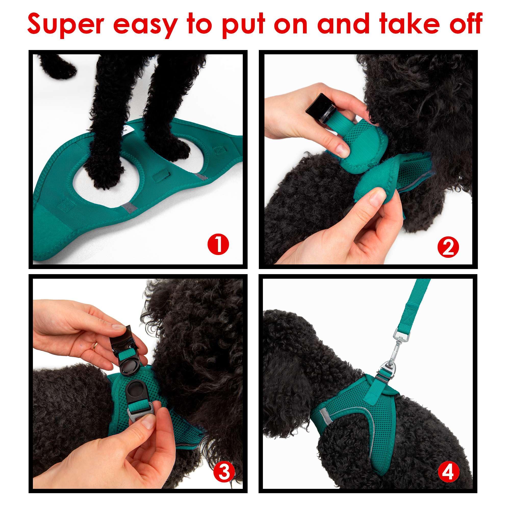 Tailpetz Dark Green Dog Harness Small Sized Dogs, Adjustable Step in No Pull Harness for Small Dogs, Reflective Puppy Harness fo