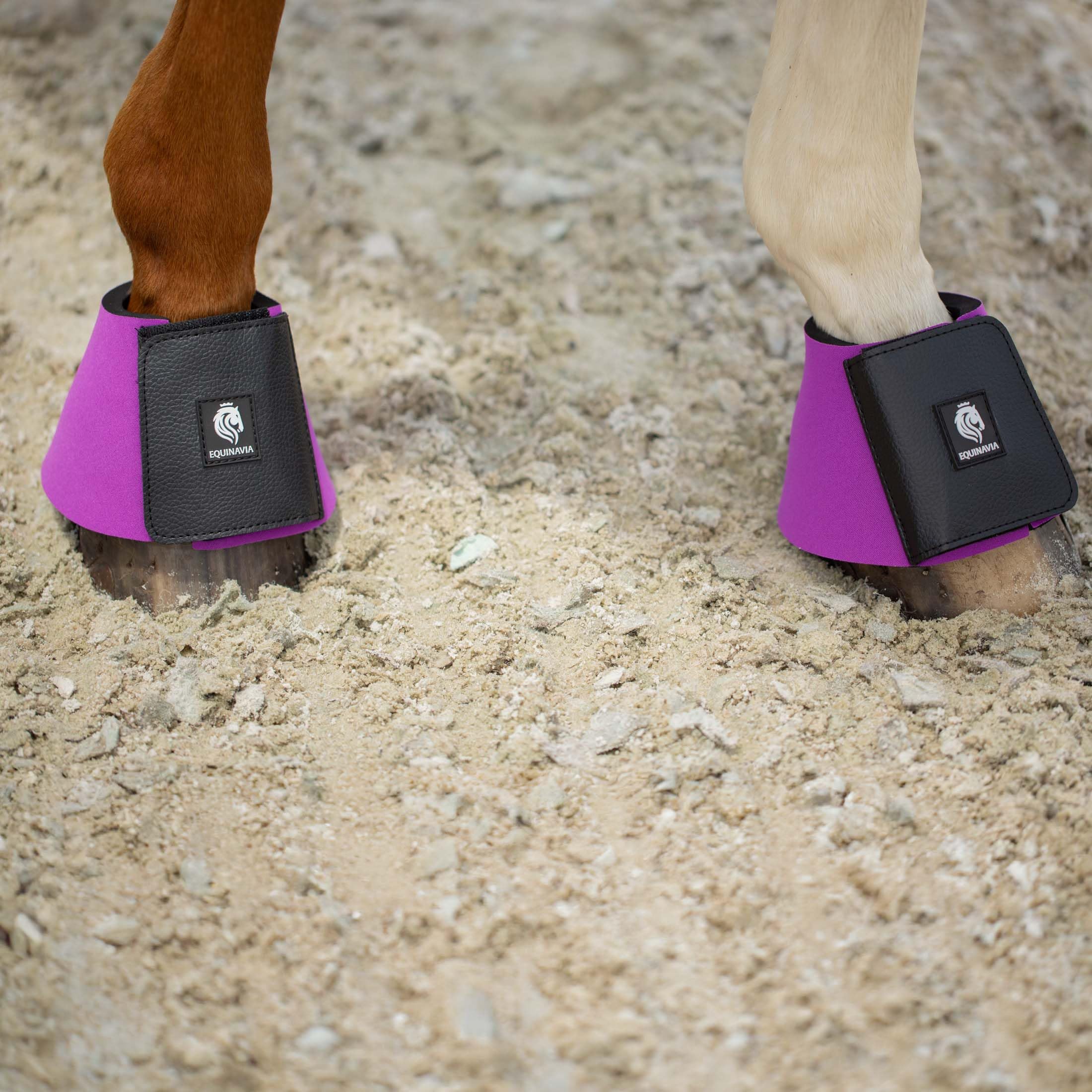 Equinavia Toki Bell Boots For Horses | Neoprene Overreach Boots - Bright Purple - Xl
