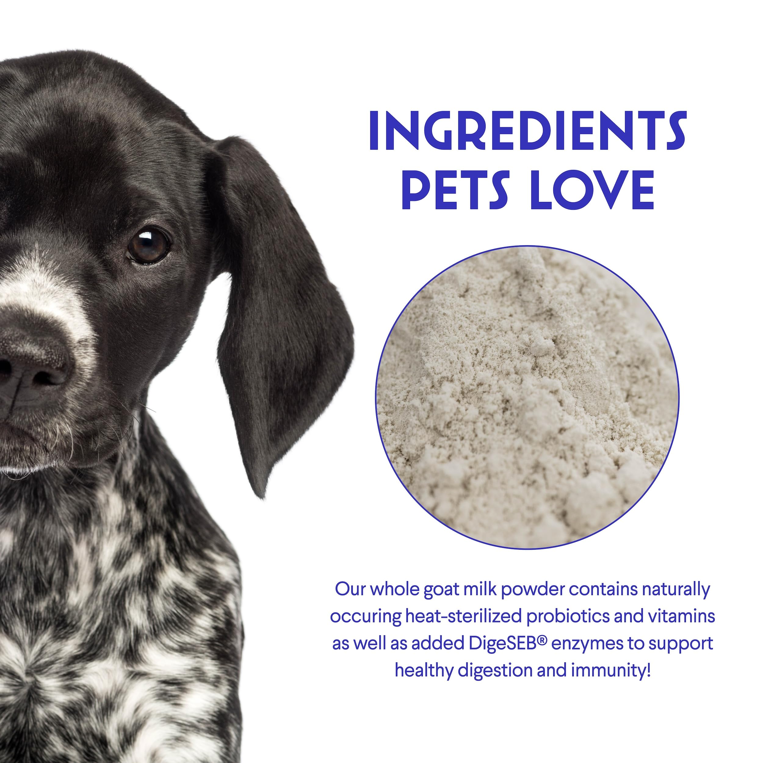 Wonder Paws Premium Goat Milk Powder for Dogs -- Goat Milk for Dogs to Support Digestion, Immune Health & Allergies - Goats Milk
