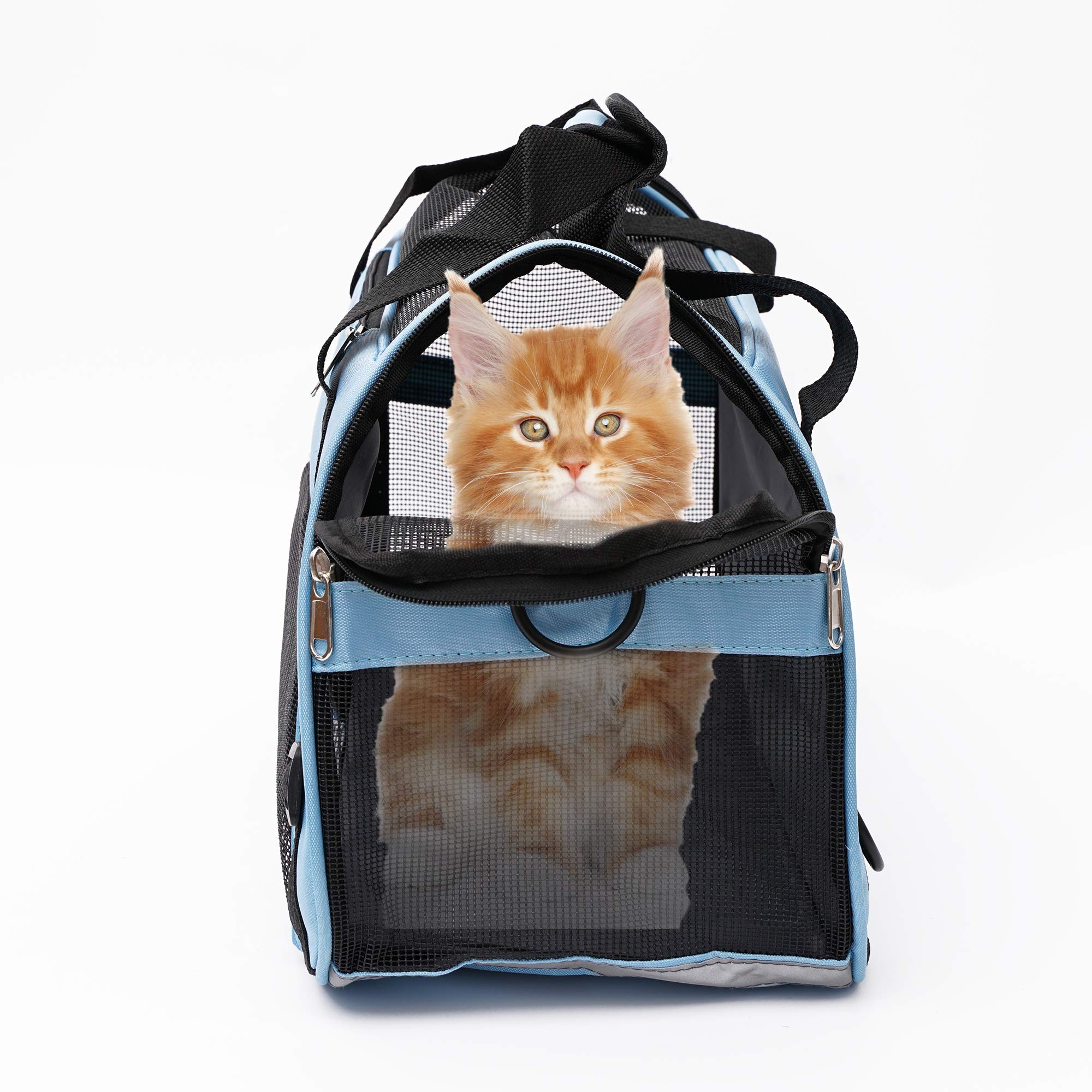 Muchl Pet Carrier Soft-Sided Carriers For Cat Carriers Dog Carrier For Small Medium Cats Dogs Puppies Pet Carrier Airline Approv