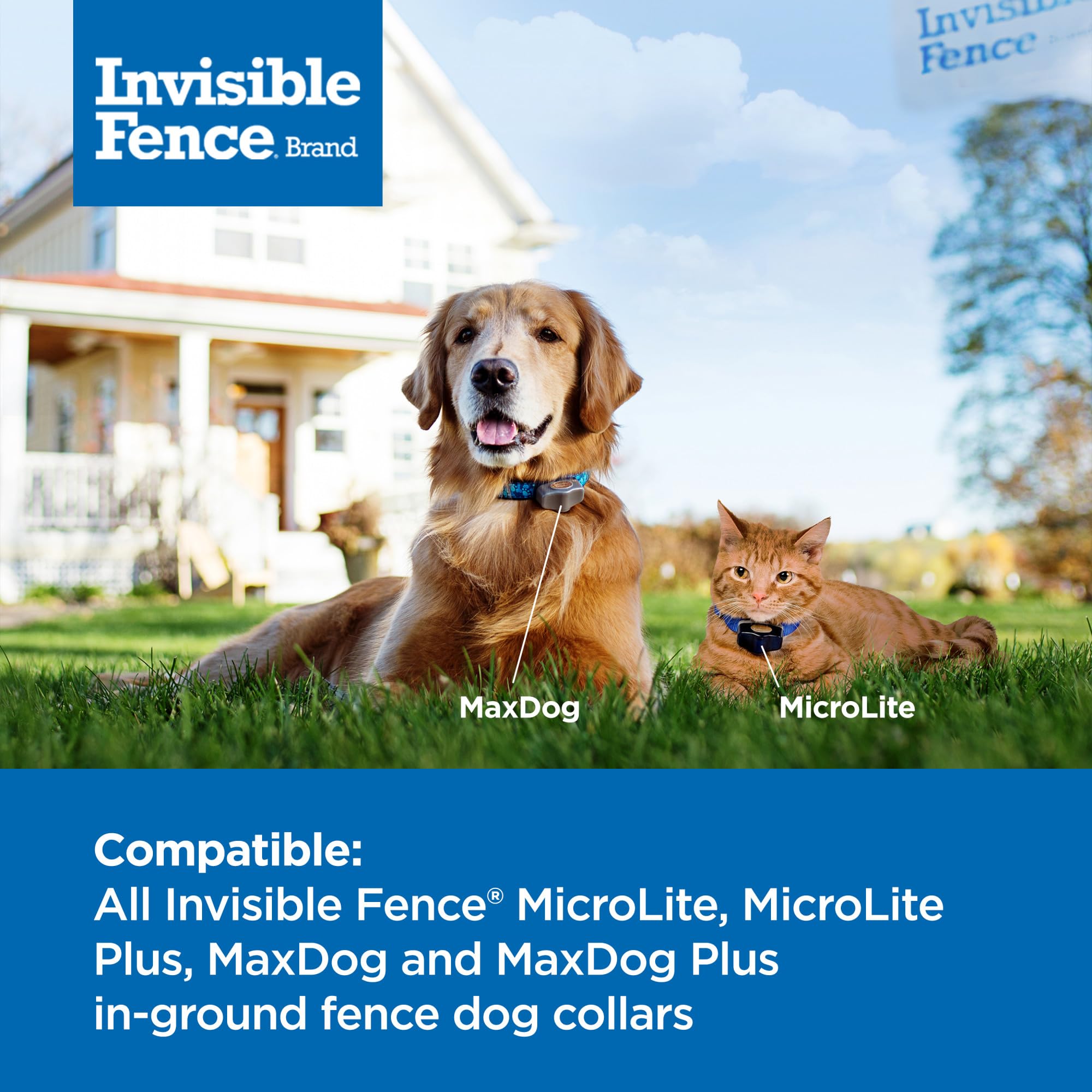 Invisible Fence Power Cap Battery - Original Replacement for Dog Collars - Long-Lasting 2 Pack - Model RAC00-17868 - Grey