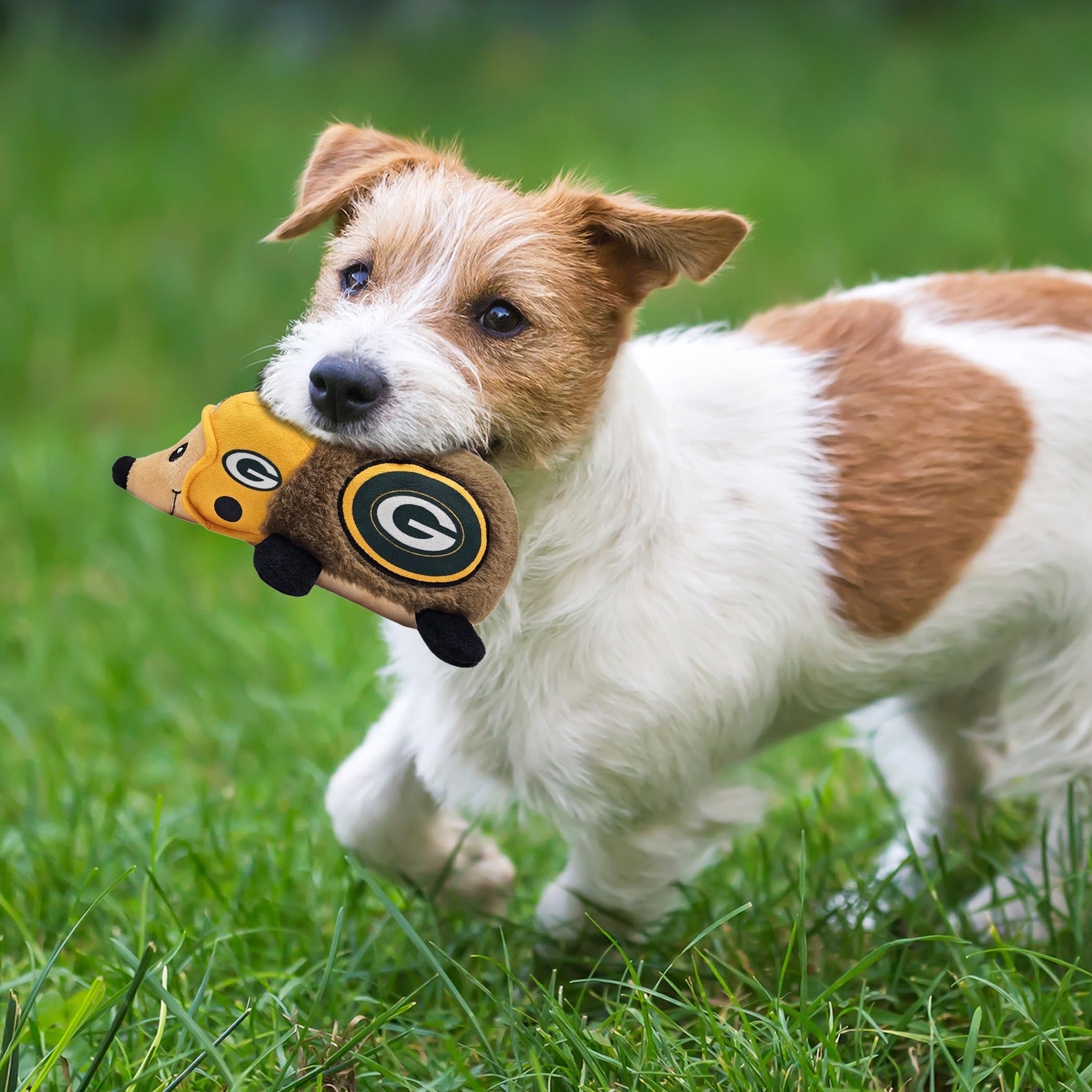 Nfl Green Bay Packers Plush Hedgehog Toy For Dogs & Cats, Cool Soft Pet Toy For Fun And Interactive Play, Dog Chew Toy With Sque