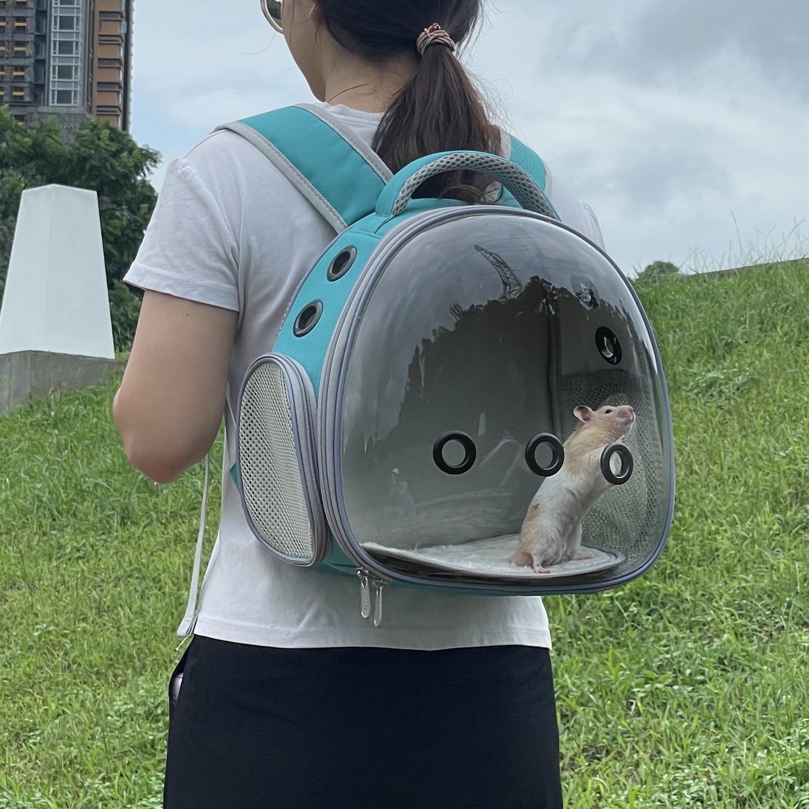 Ioview Portable Travel Pet Backpack Carrier Hamster Bag Guinea Pig Bird Small Dog Cat Turtle Rabbit Cage Rabbit Guinea Pig Squir
