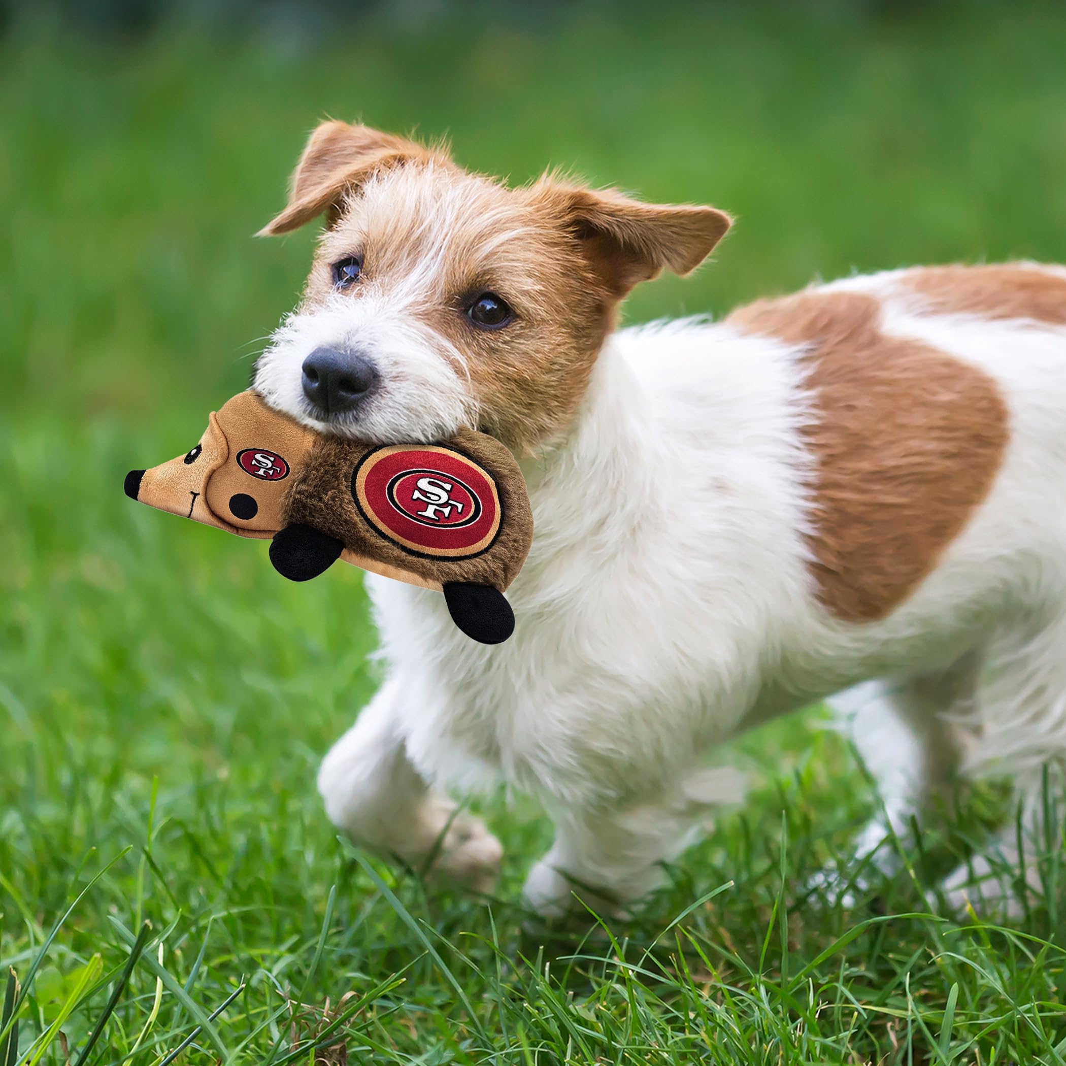Nfl San Francisco 49Ers Plush Hedgehog Toy For Dogs & Cats, Cool Soft Pet Toy For Fun And Interactive Play, Dog Chew Toy With Sq