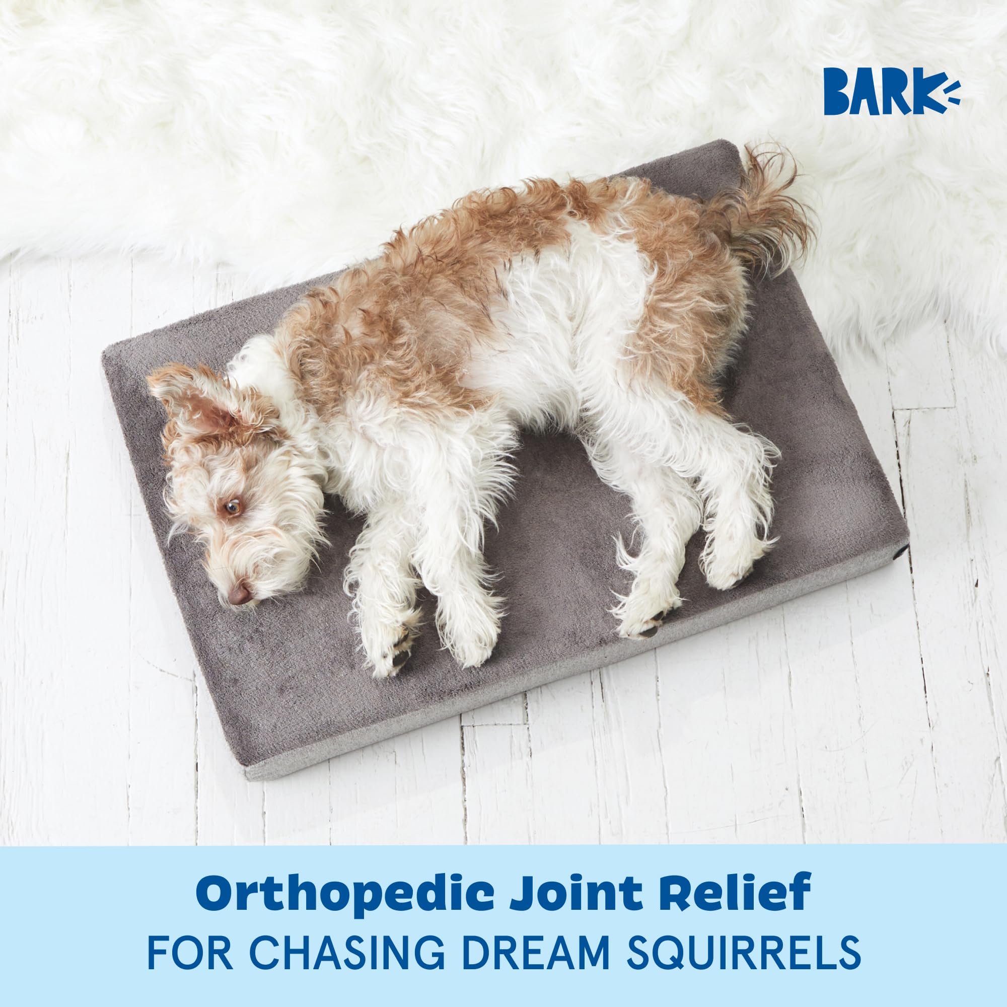 Barkbox Orthopedic Dog Bed with Memory Foam, Premium Comfort for Dogs and Puppies, Dog Bed for Joint Relief and Restful Sleep, D